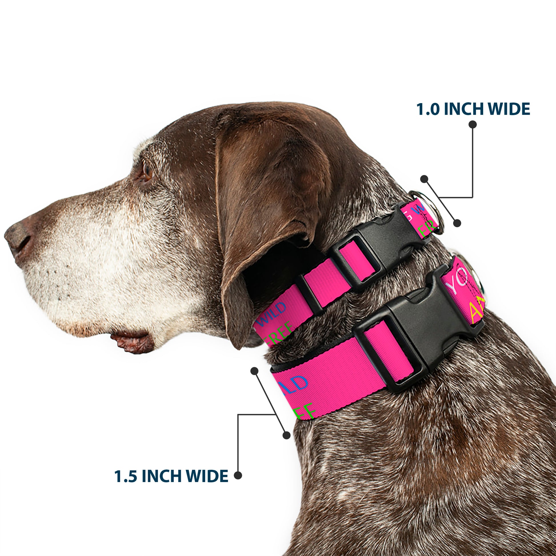 Plastic Clip Collar - YOUNG WILD AND FREE Pink/White/Blue/Yellow/Green Plastic Clip Collars Buckle-Down