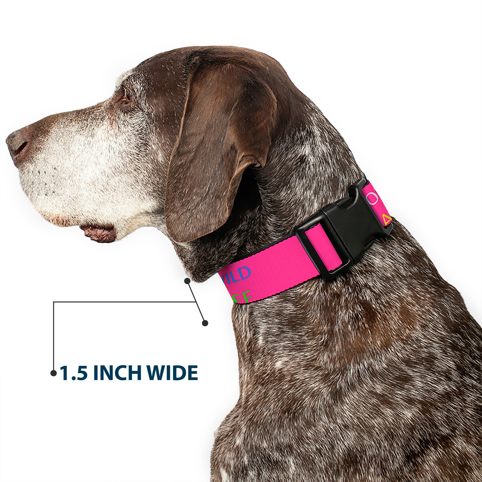 Plastic Clip Collar - YOUNG WILD AND FREE Pink/White/Blue/Yellow/Green Plastic Clip Collars Buckle-Down