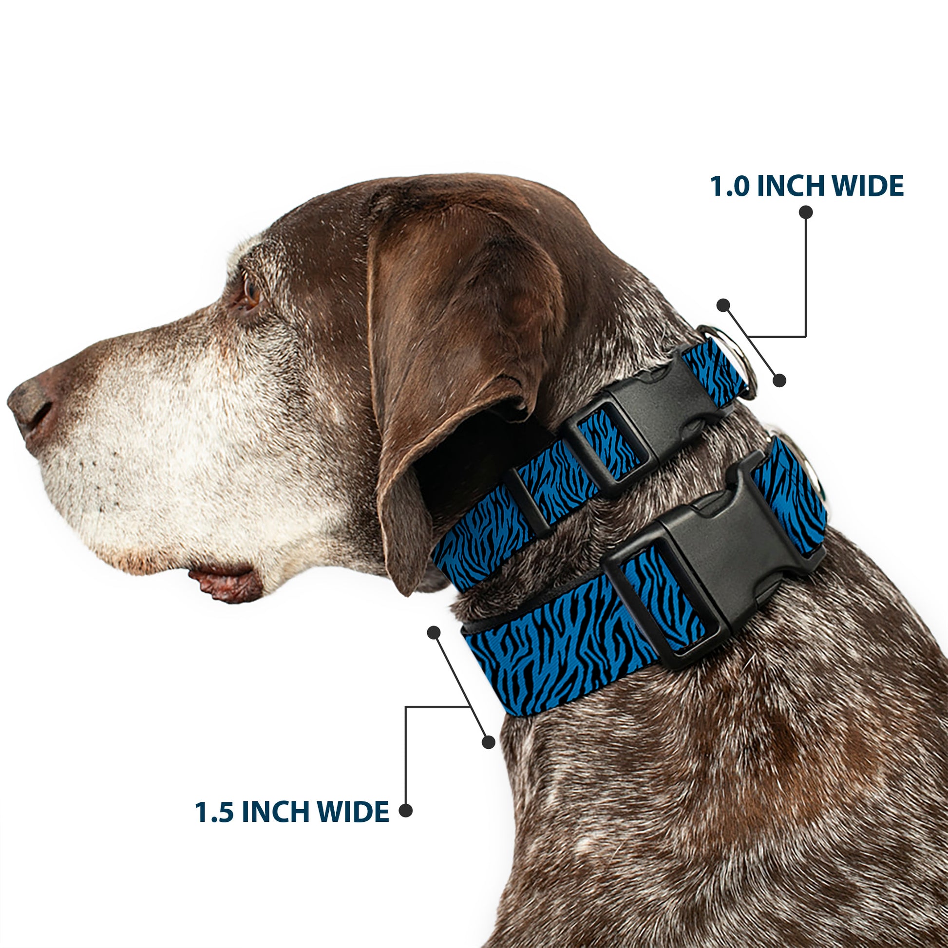 Plastic Clip Collar - Zebra 2 Turquoise Plastic Clip Collars Buckle-Down