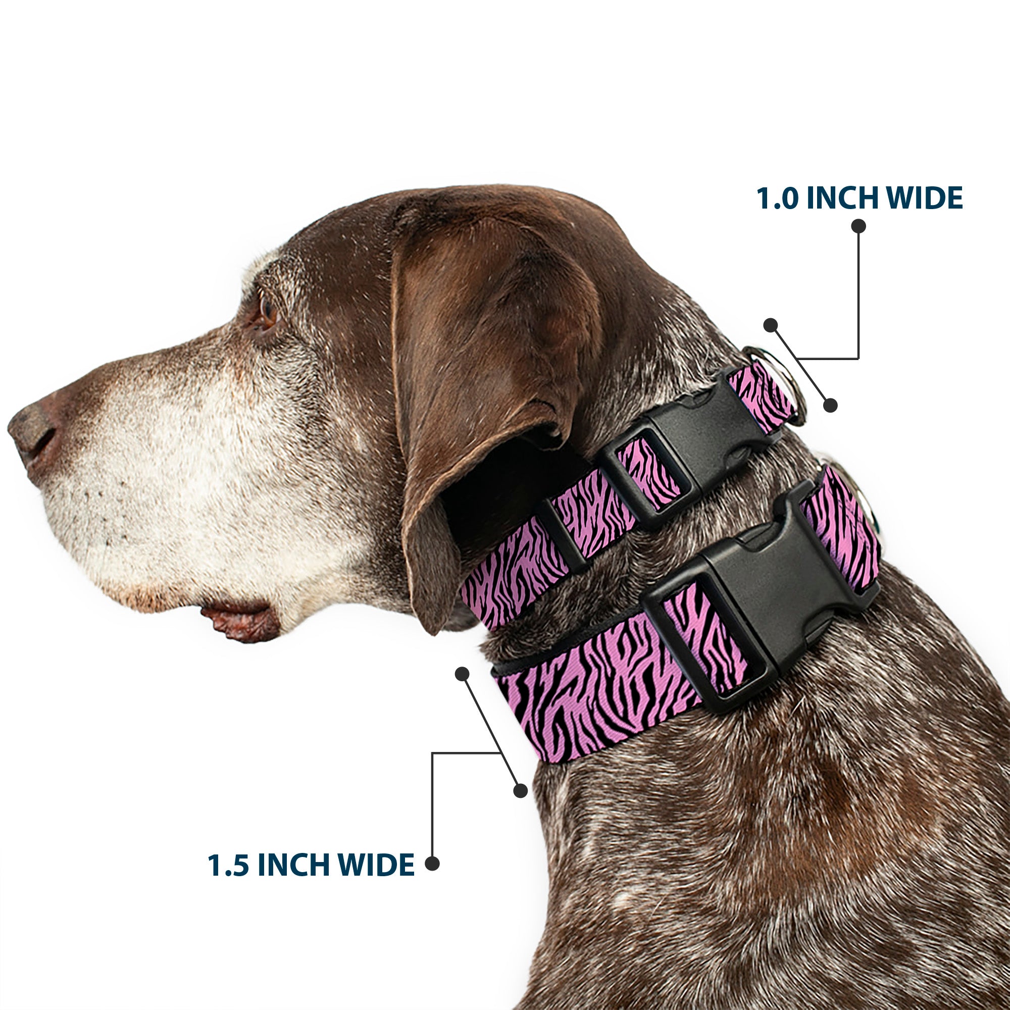 Plastic Clip Collar - Zebra 2 Baby Pink Plastic Clip Collars Buckle-Down