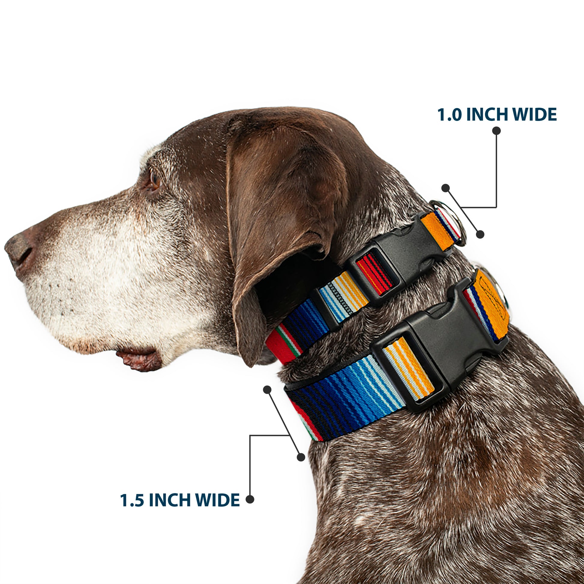 Plastic Clip Collar - Zarape2 Vertical Multi Color Stripe Plastic Clip Collars Buckle-Down