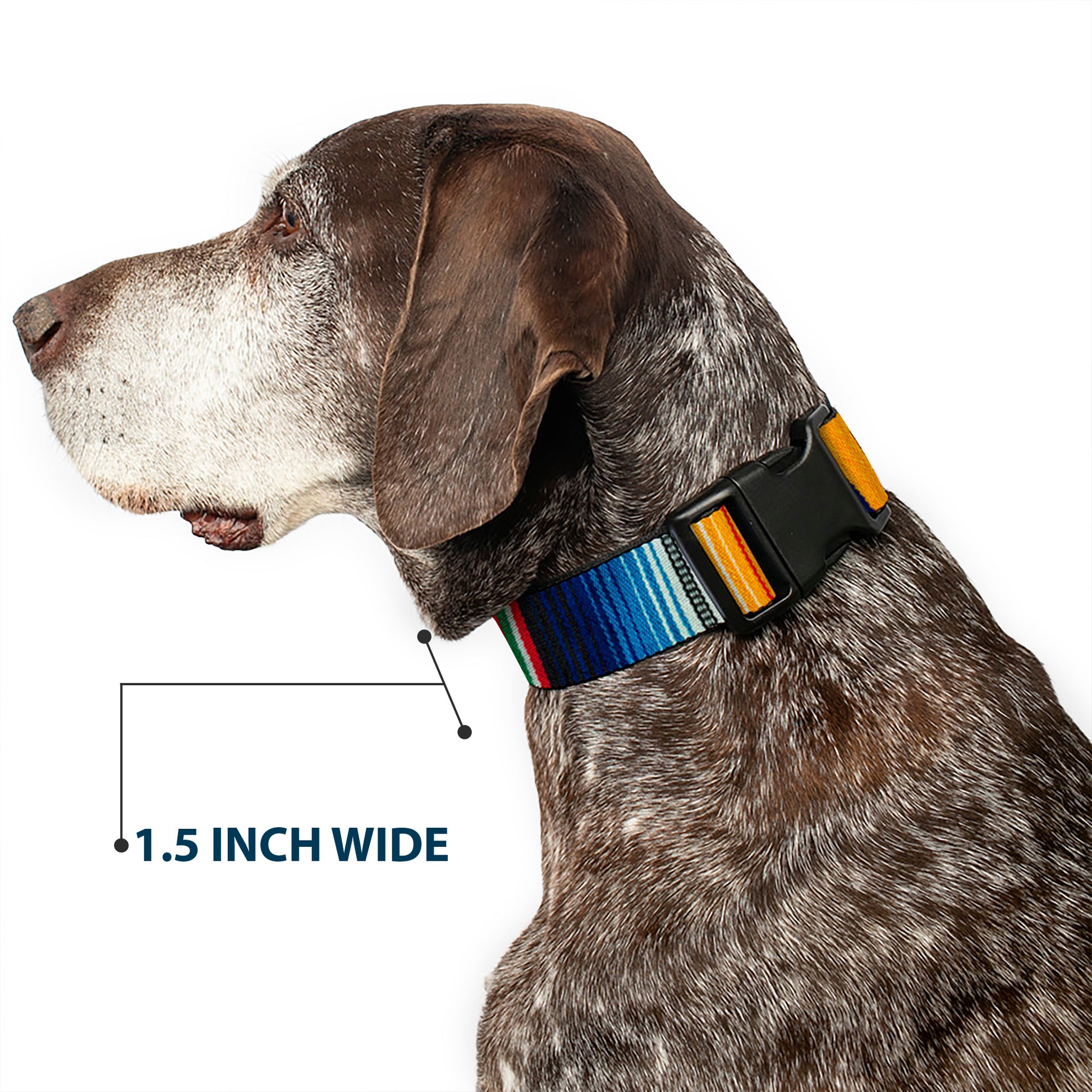 Plastic Clip Collar - Zarape2 Vertical Multi Color Stripe Plastic Clip Collars Buckle-Down