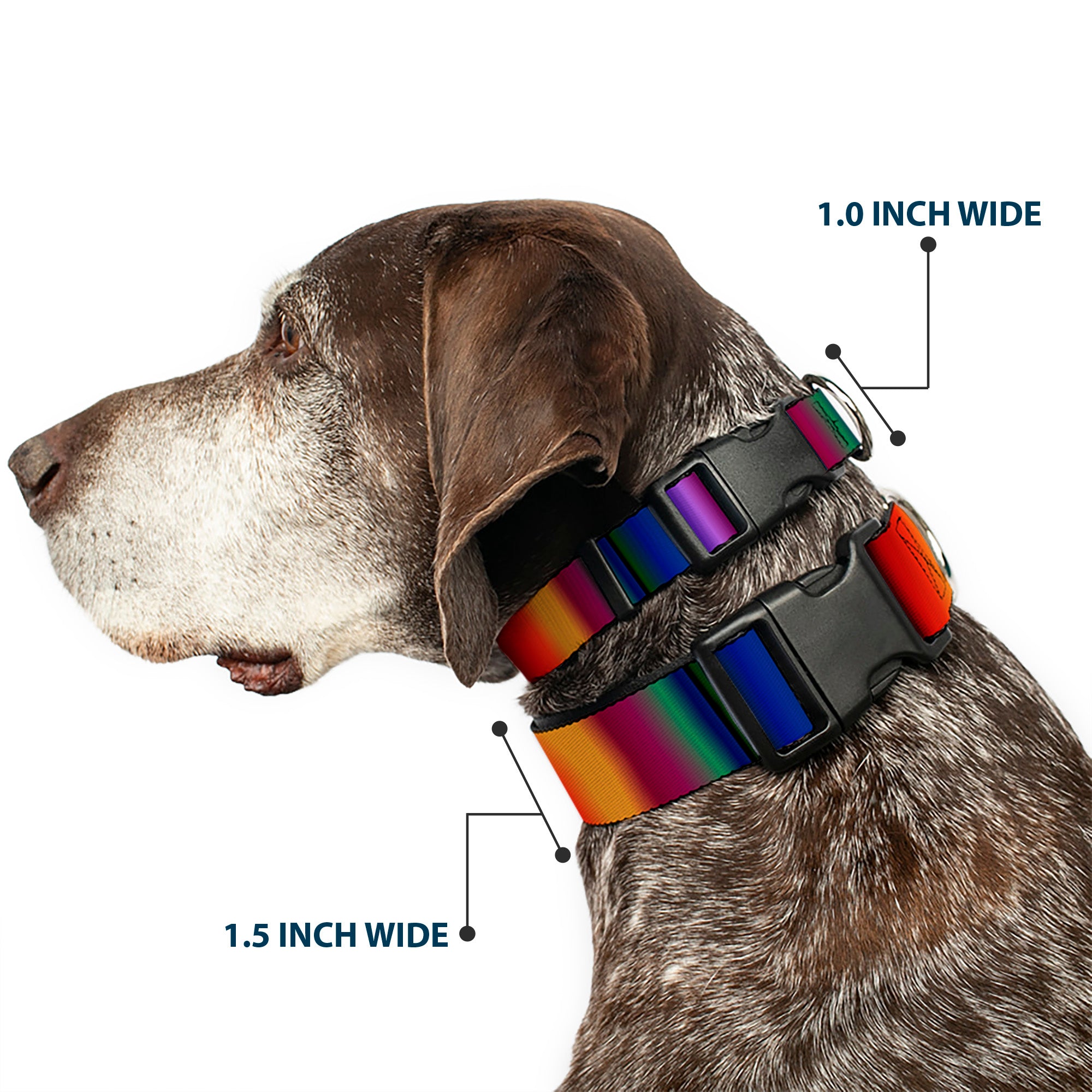 Plastic Clip Collar - Zarape3 Vertical Multi Color Fade Plastic Clip Collars Buckle-Down