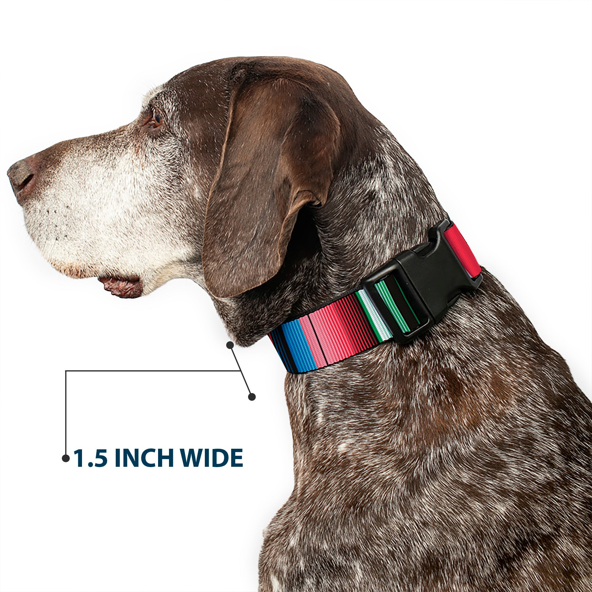 Plastic Clip Collar - Zarape5 Vertical Multi Color Stripe Plastic Clip Collars Buckle-Down