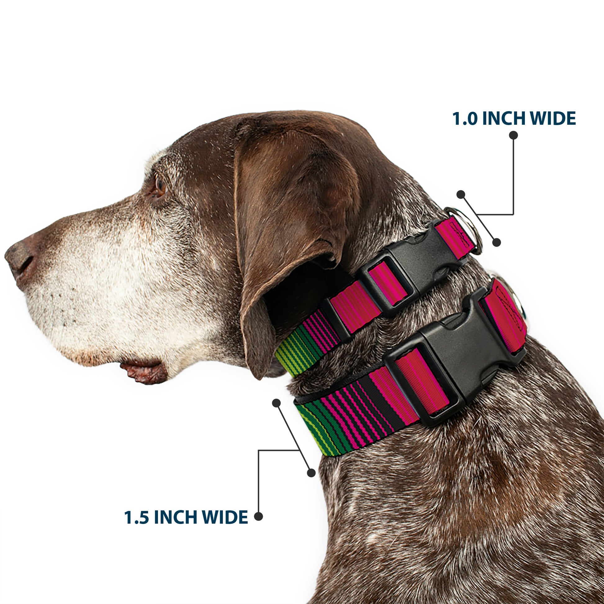 Plastic Clip Collar - Zarape7 Vertical Pinks/Blues/Greens/Black Plastic Clip Collars Buckle-Down