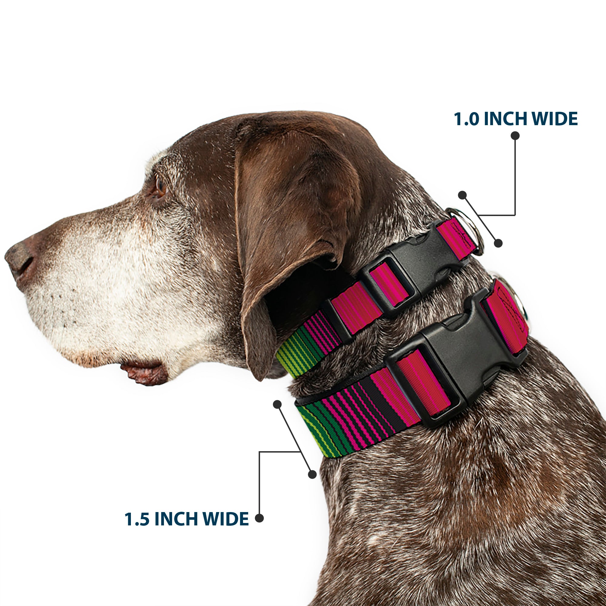 Plastic Clip Collar - Zarape7 Vertical Pinks/Blues/Greens/Black Plastic Clip Collars Buckle-Down