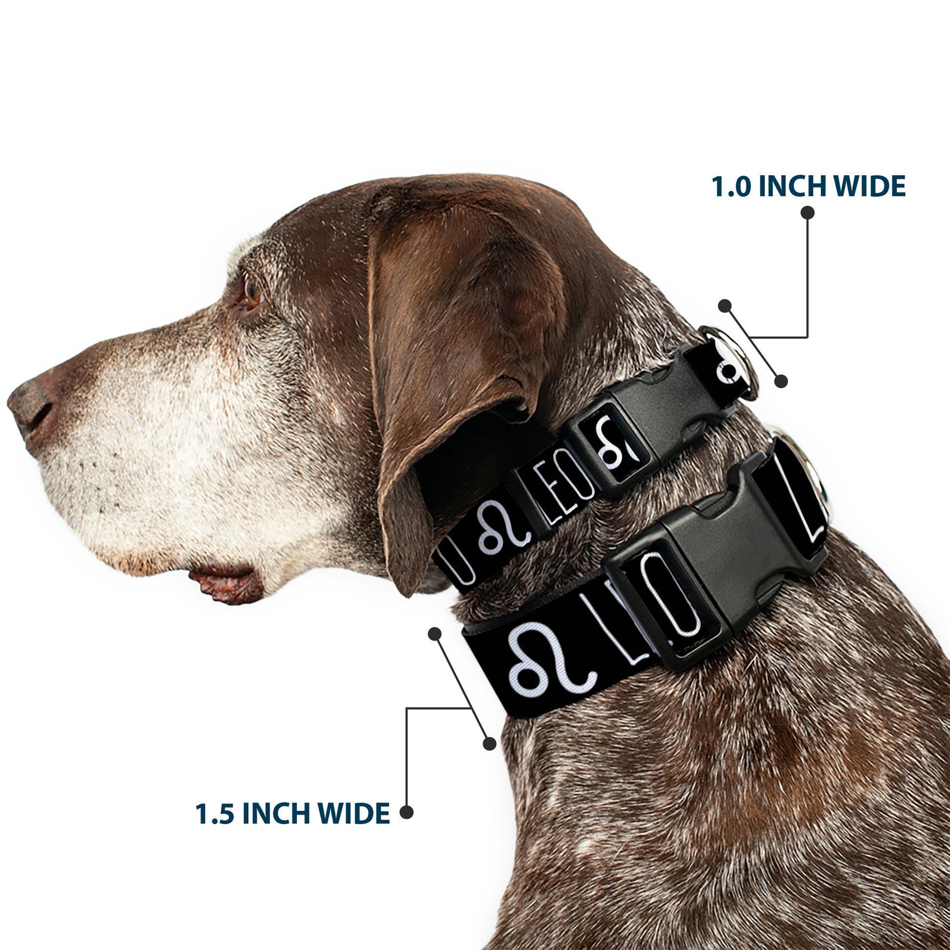 Plastic Clip Collar - Zodiac LEO/Symbol Black/White Plastic Clip Collars Buckle-Down