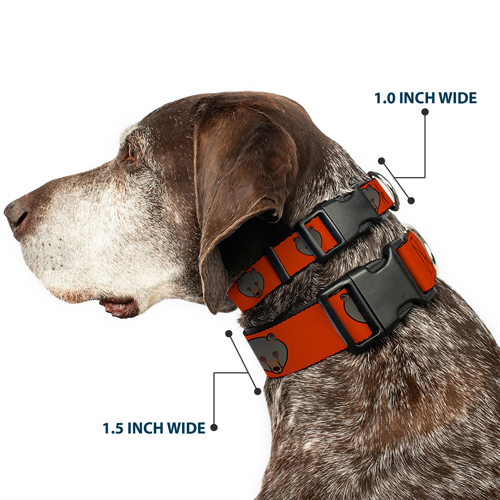 Plastic Clip Collar - Brown Bear Repeat Orange Plastic Clip Collars Buckle-Down