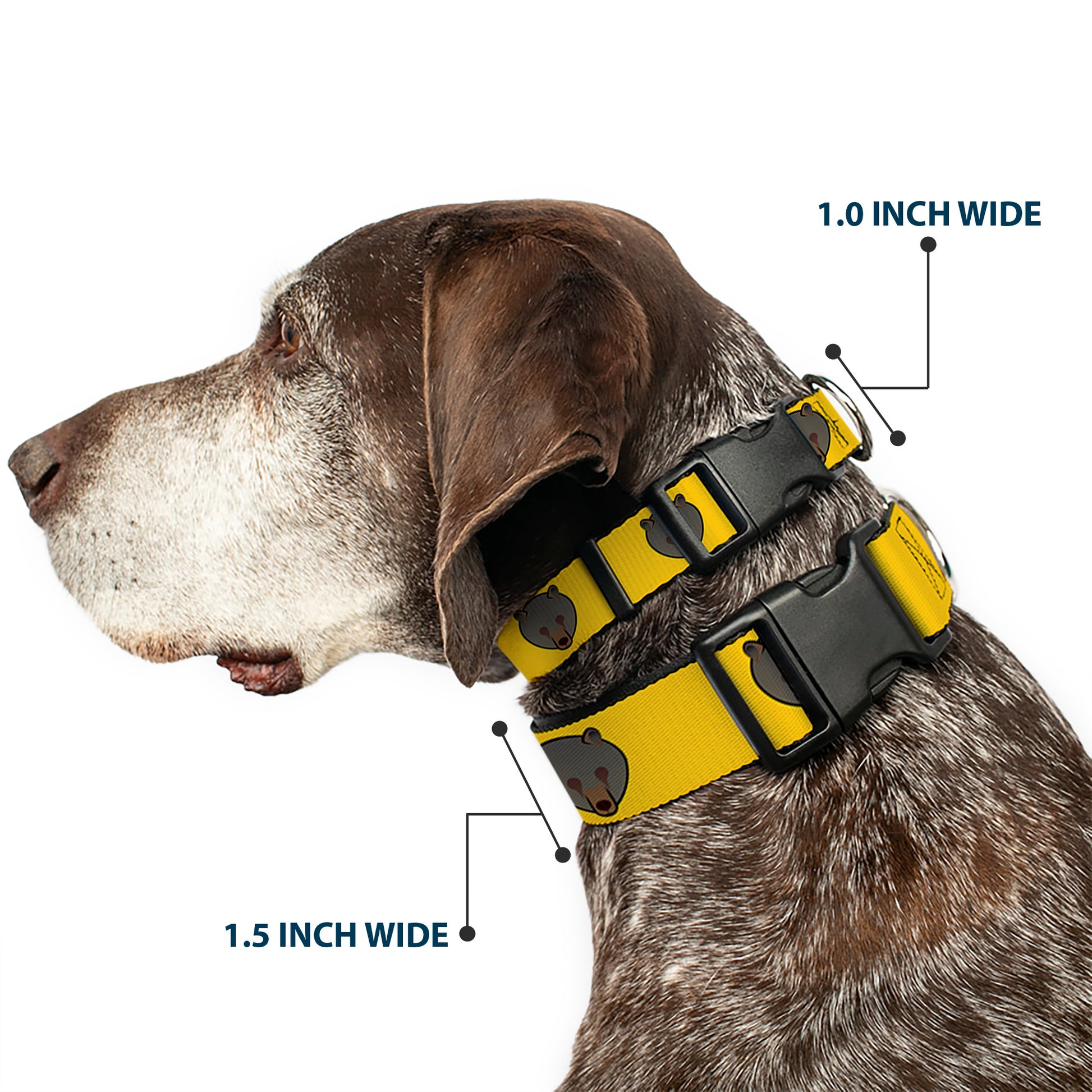 Plastic Clip Collar - Brown Bear Repeat Yellow Plastic Clip Collars Buckle-Down