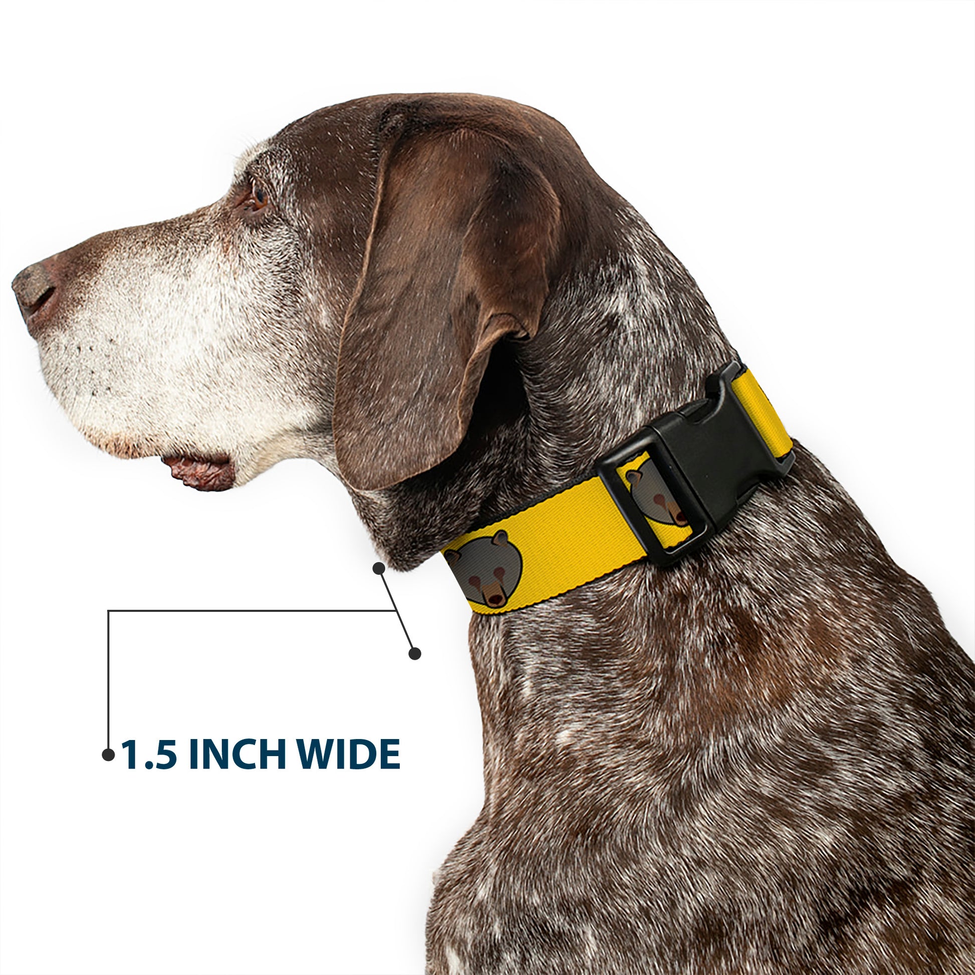 Plastic Clip Collar - Brown Bear Repeat Yellow Plastic Clip Collars Buckle-Down