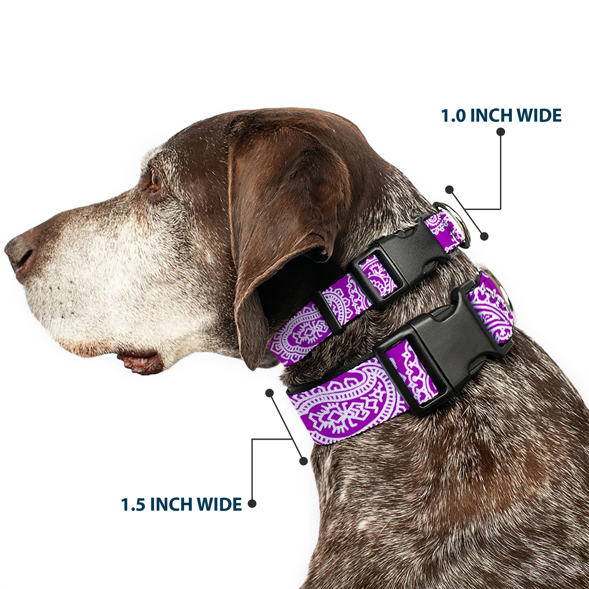 Plastic Clip Collar - Bandana/Skulls Purple/White Plastic Clip Collars Buckle-Down