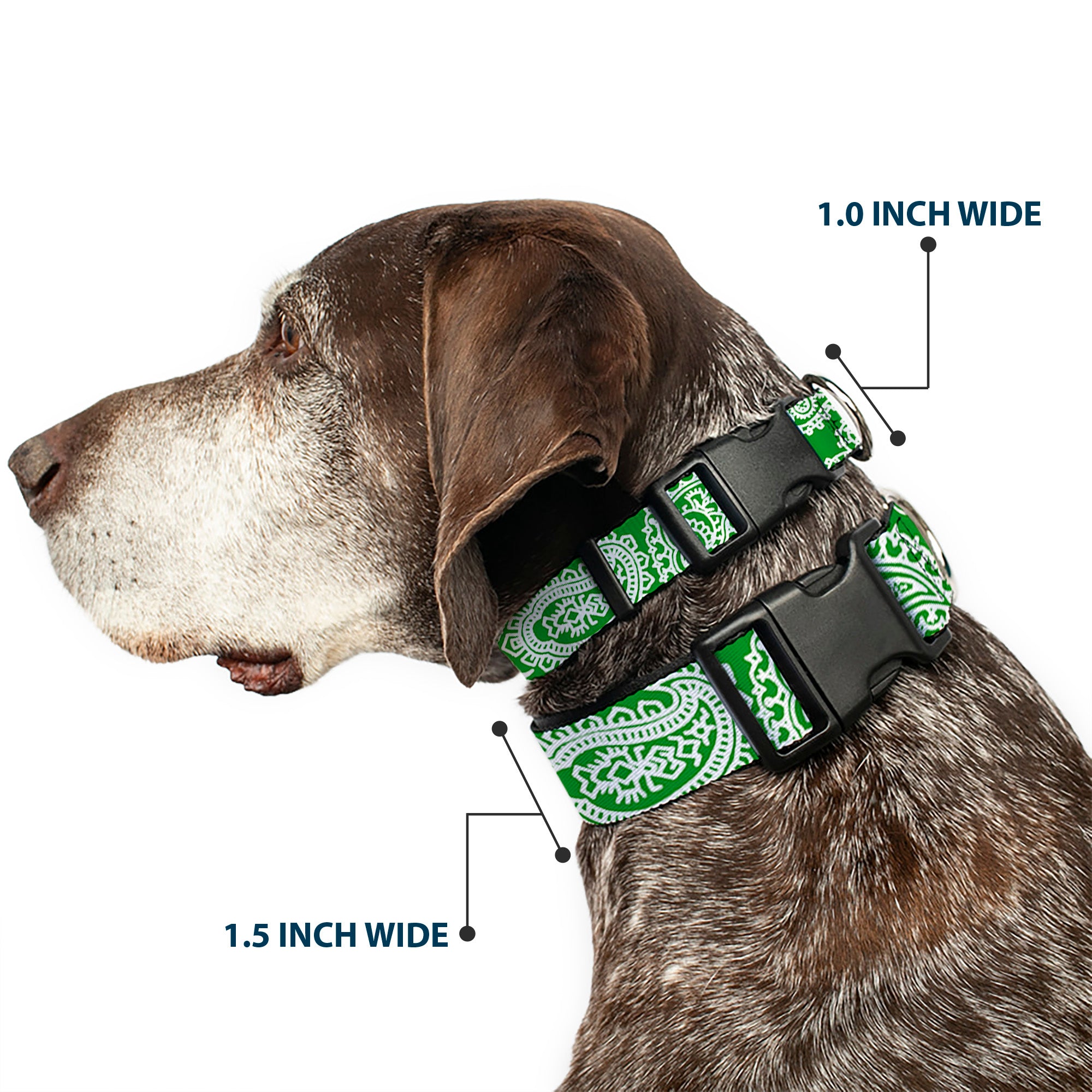 Plastic Clip Collar - Bandana/Skulls Irish Green/White Plastic Clip Collars Buckle-Down