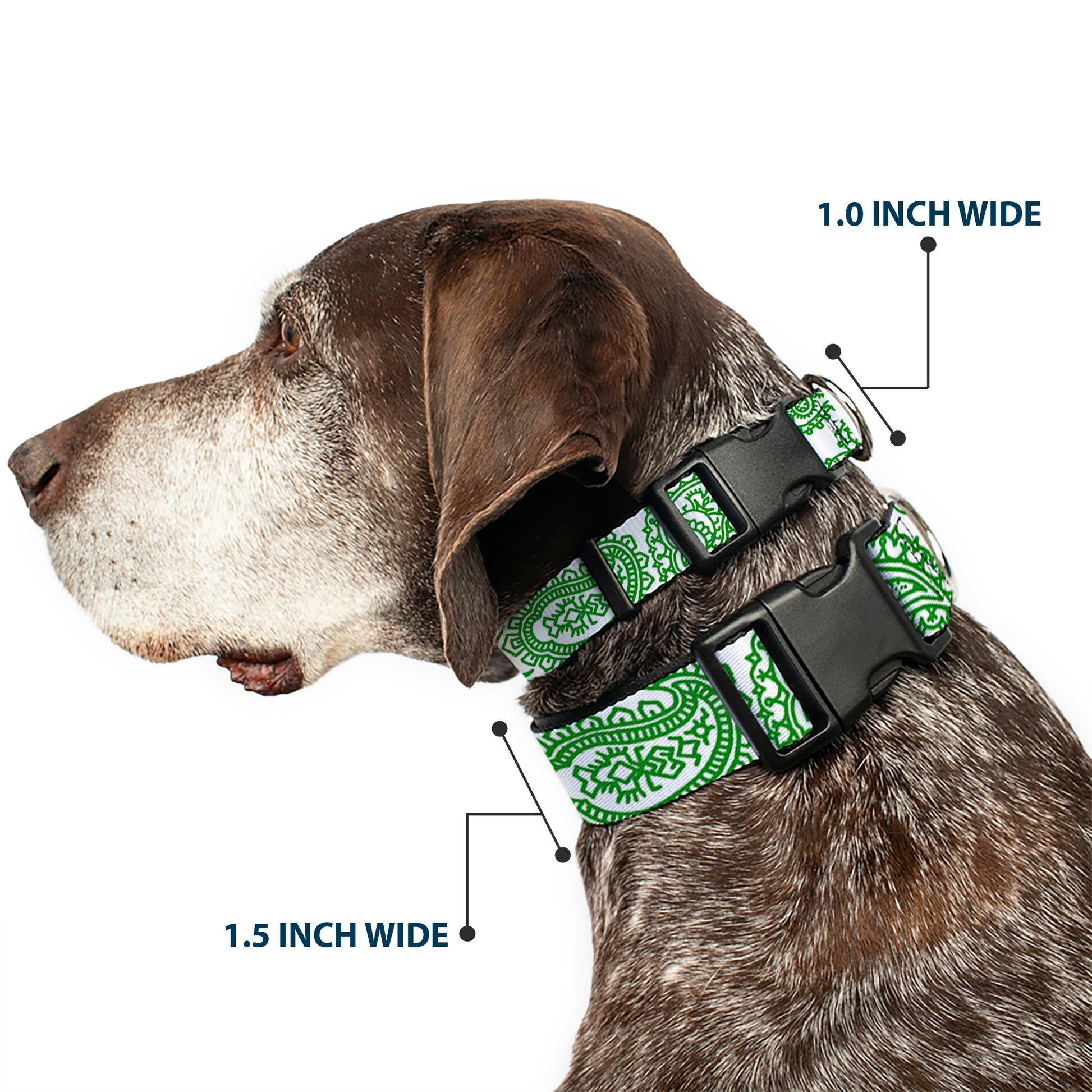 Plastic Clip Collar - Bandana/Skulls White/Irish Green Plastic Clip Collars Buckle-Down