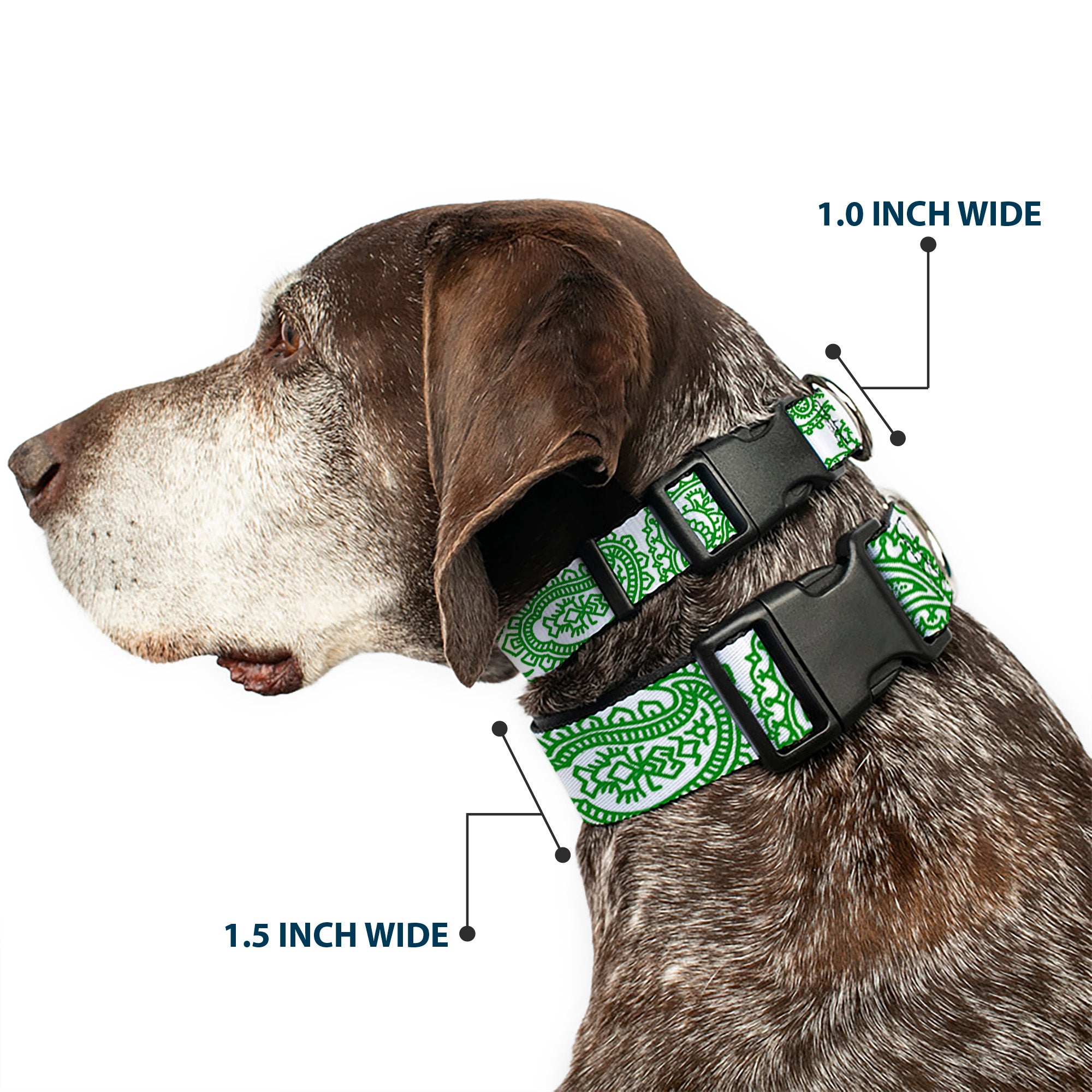Plastic Clip Collar - Bandana/Skulls White/Irish Green Plastic Clip Collars Buckle-Down