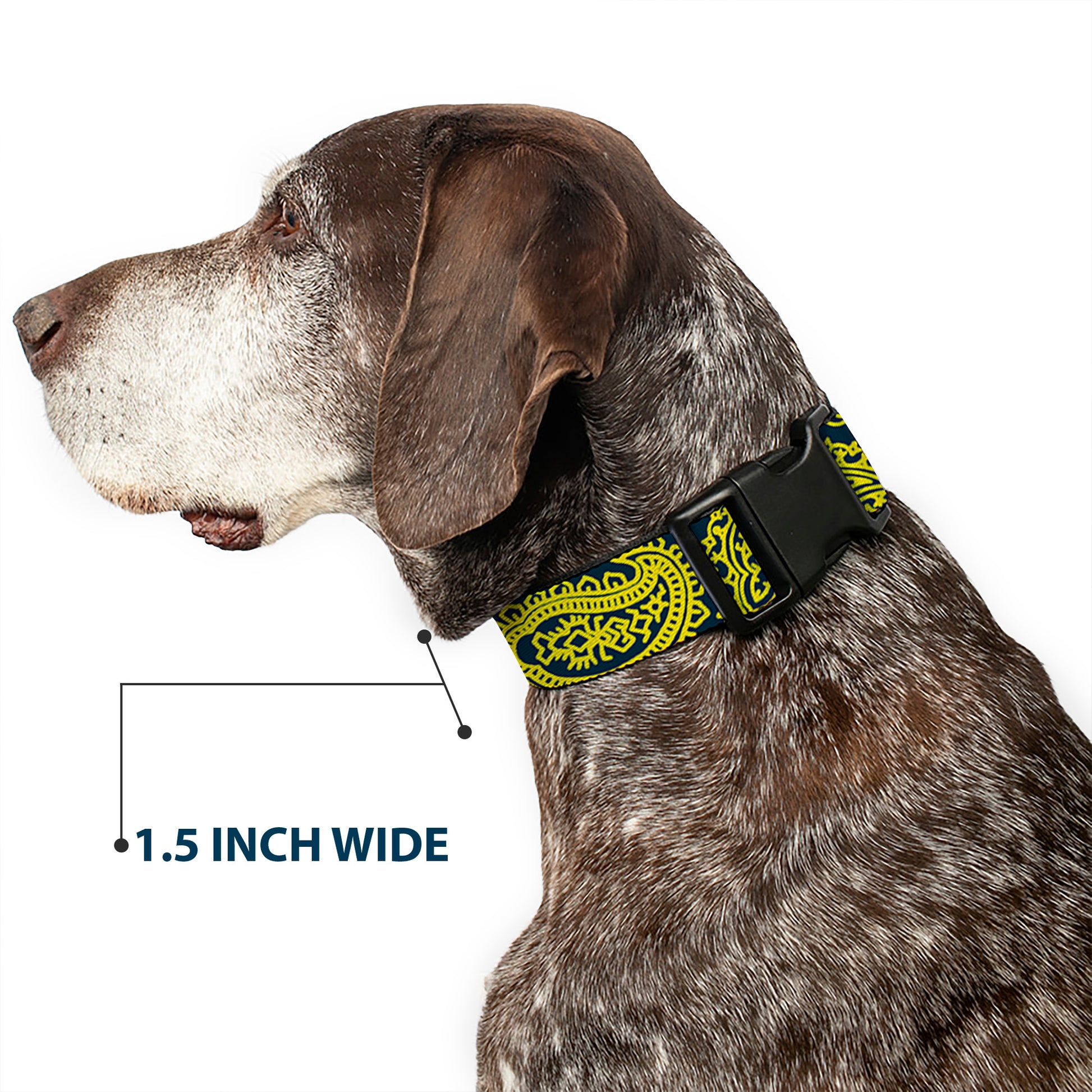 Plastic Clip Collar - Bandana/Skulls Green/Gold Plastic Clip Collars Buckle-Down