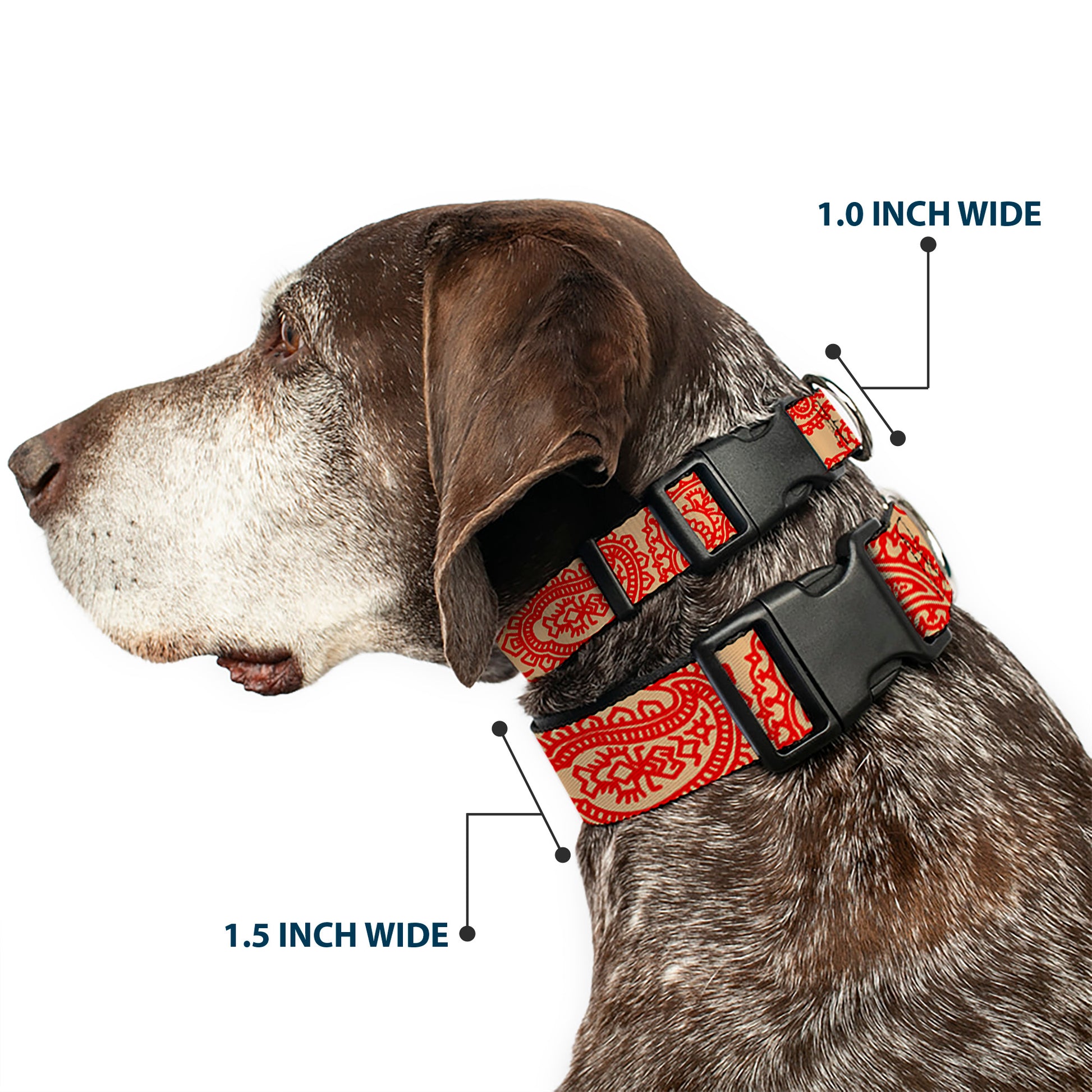 Plastic Clip Collar - Bandana/Skulls Gold/Scarlet Red Plastic Clip Collars Buckle-Down