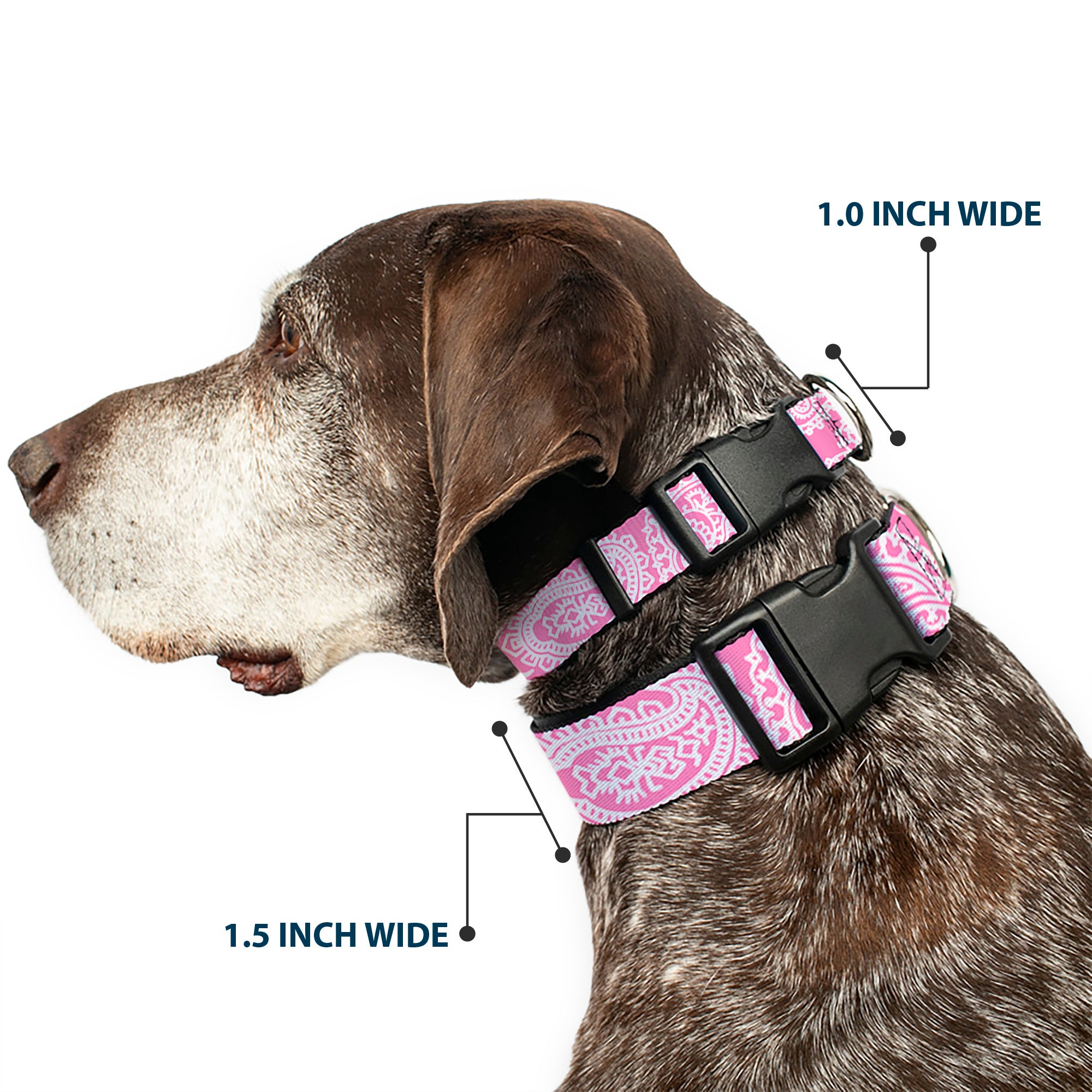 Plastic Clip Collar - Bandana/Skulls Pink/White Plastic Clip Collars Buckle-Down