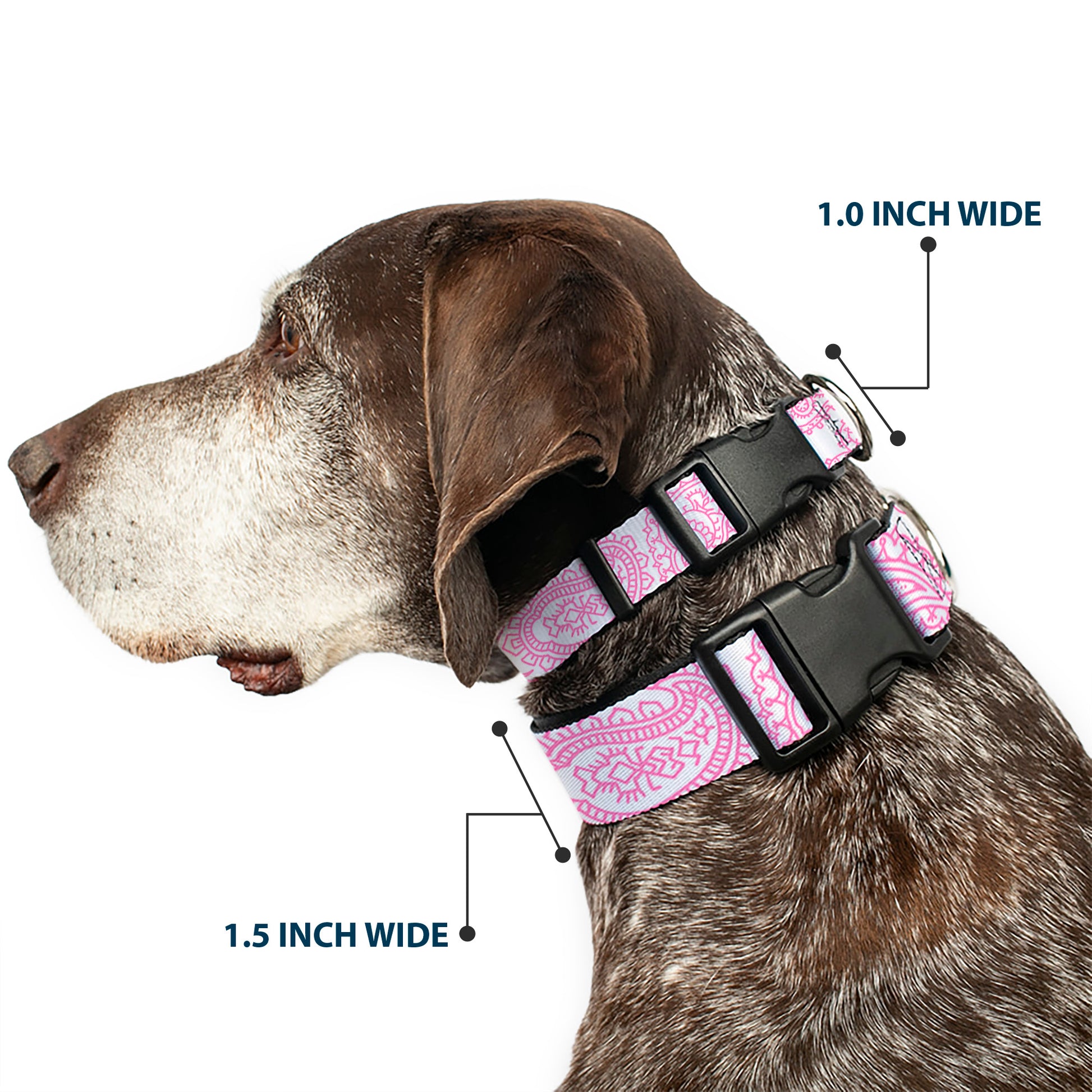 Plastic Clip Collar - Bandana/Skulls White/Pink Plastic Clip Collars Buckle-Down
