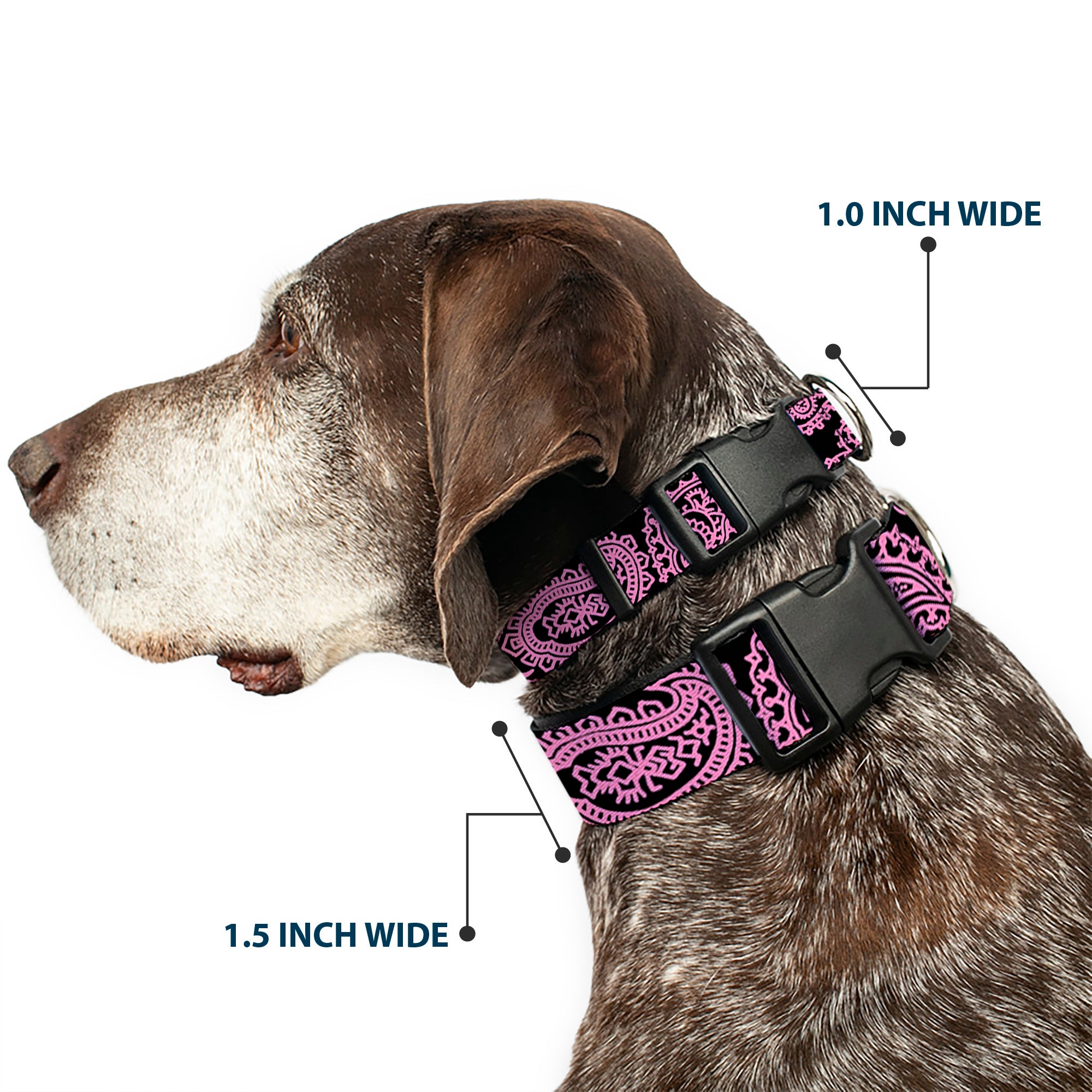Plastic Clip Collar - Bandana/Skulls Black/Pink Plastic Clip Collars Buckle-Down