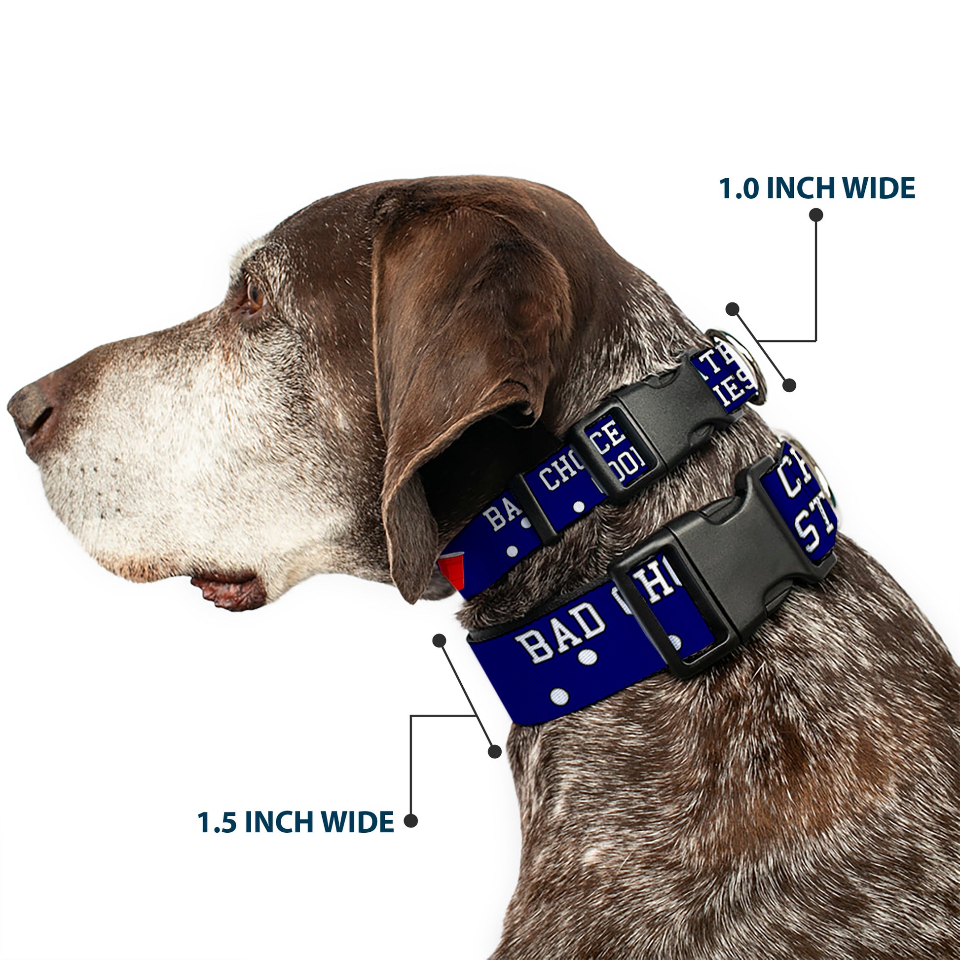 Buckle-Down Plastic Buckle Dog Collar - Beer Pong BAD CHOICES CREATE GOOD STORIES Blue/White/Red Plastic Clip Collars Buckle-Down