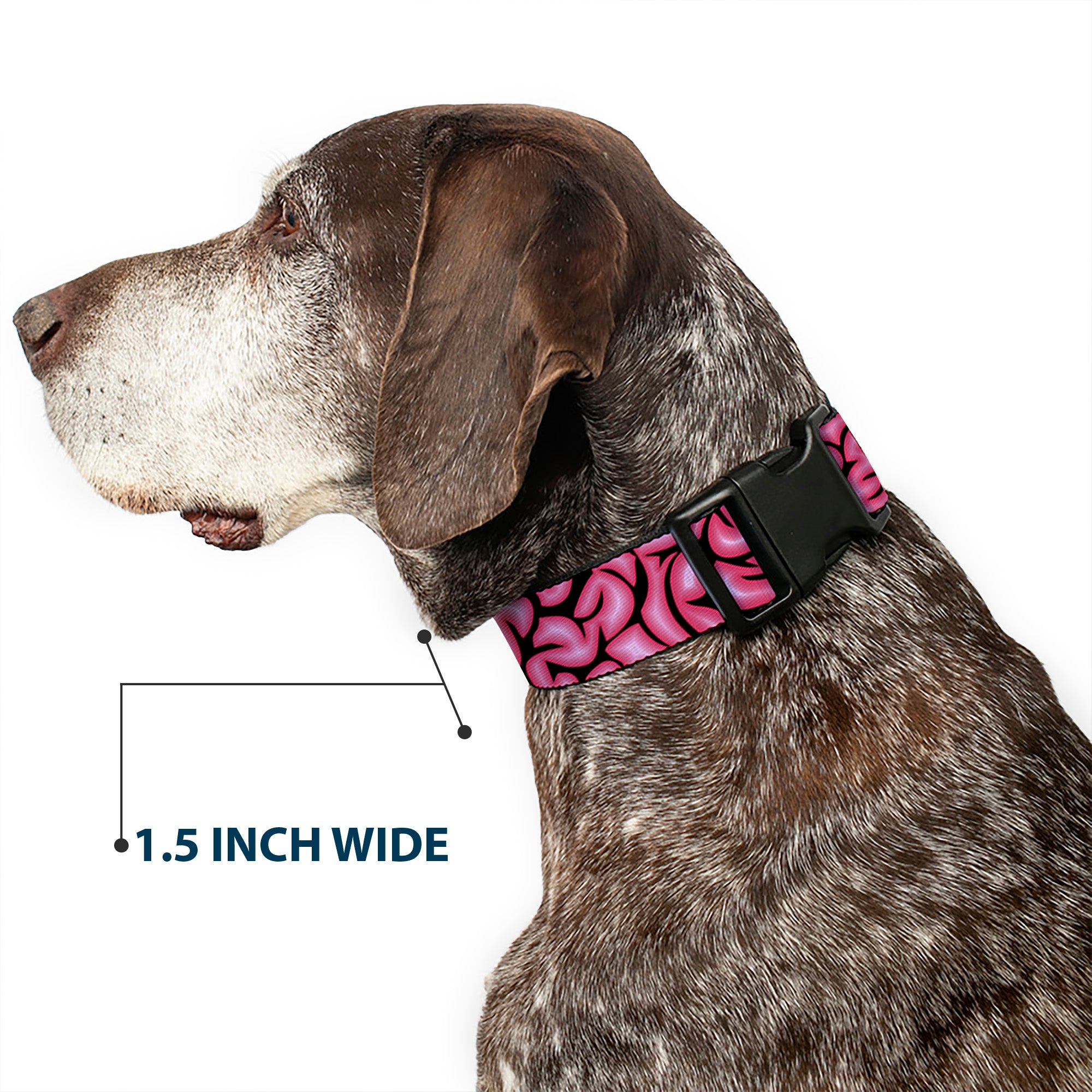 Plastic Clip Collar - Brains Black/Pink Plastic Clip Collars Buckle-Down