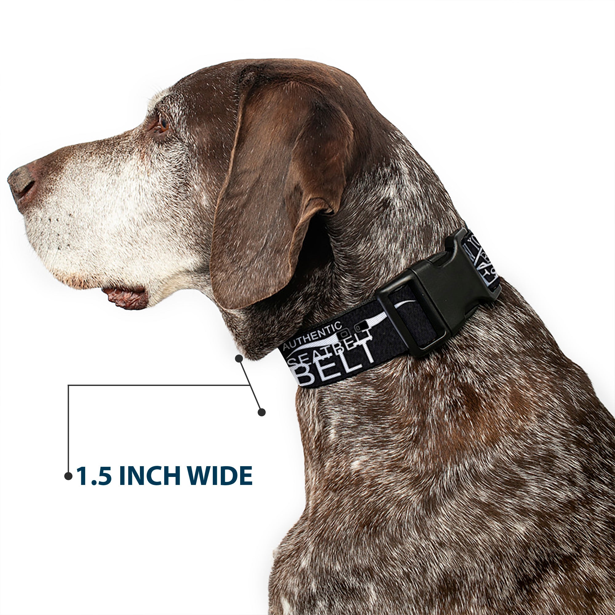 Plastic Clip Collar - Buckle-Down AUTHENTIC SEATBELT BELT NY-LA Black/White Plastic Clip Collars Buckle-Down