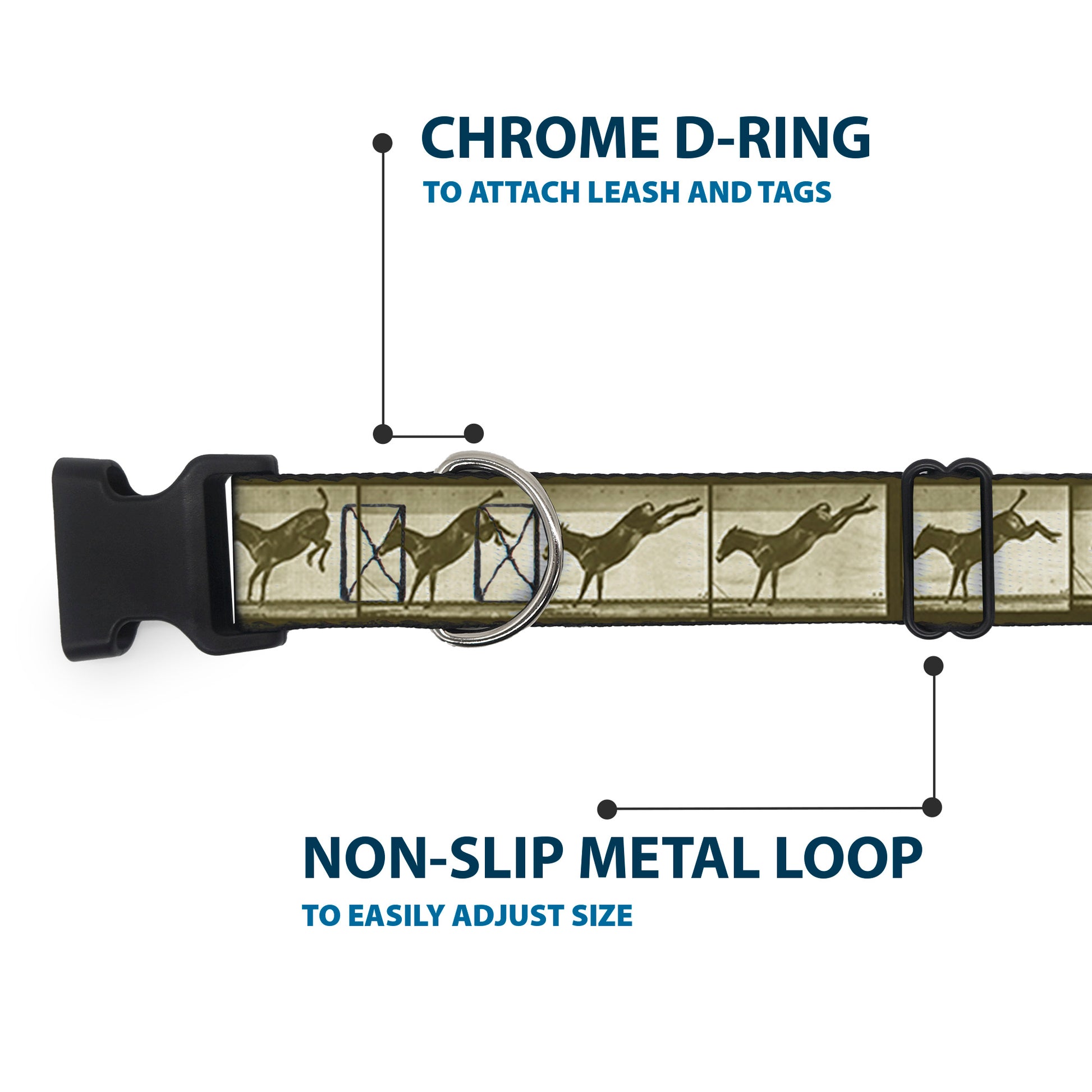 Plastic Clip Collar - Bucking Donkey Vintage Film Strip Plastic Clip Collars Buckle-Down