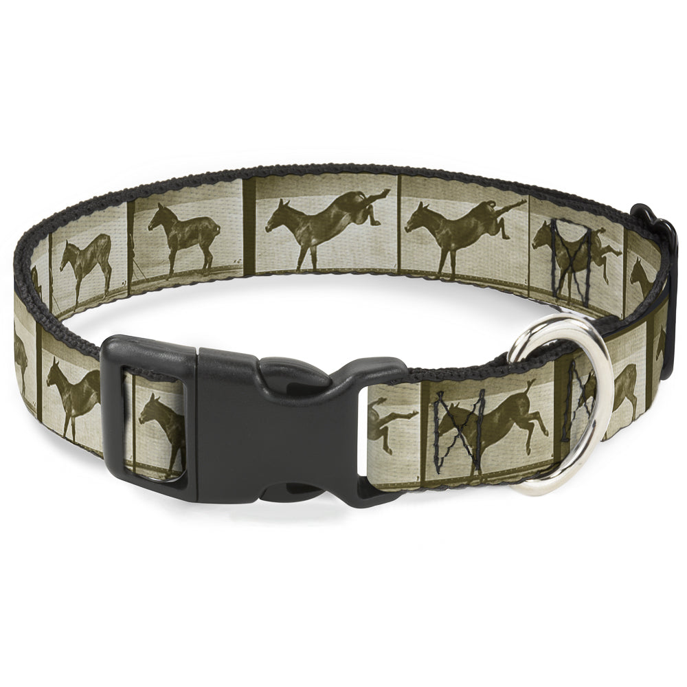Plastic Clip Collar - Bucking Donkey Vintage Film Strip Plastic Clip Collars Buckle-Down