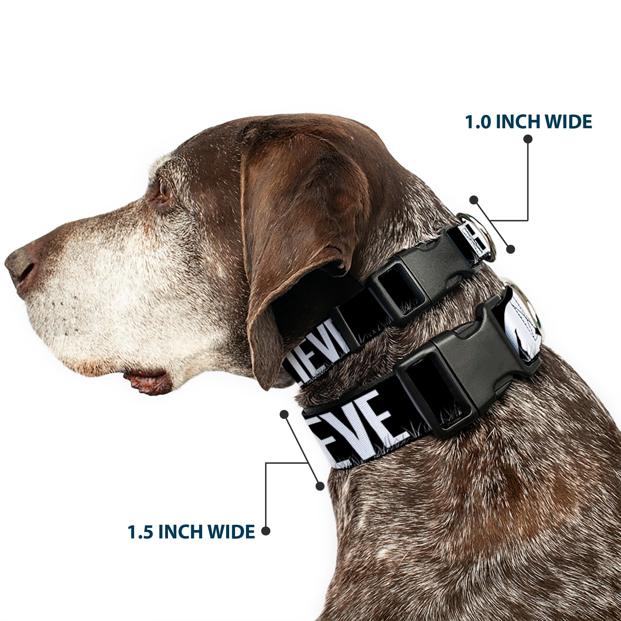 Plastic Clip Collar - Bigfoot Silhouette I BELIEVE Black/Gray/White Plastic Clip Collars Buckle-Down
