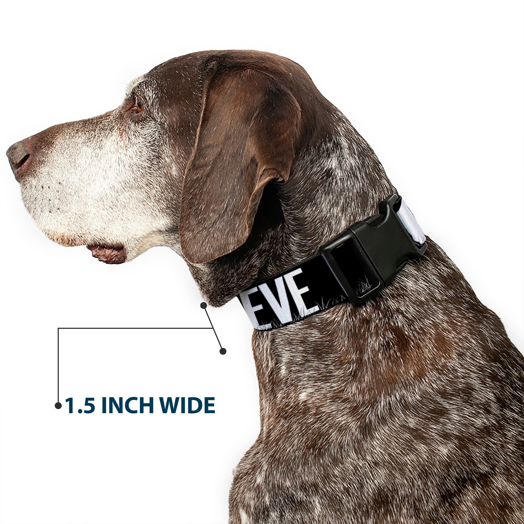 Plastic Clip Collar - Bigfoot Silhouette I BELIEVE Black/Gray/White Plastic Clip Collars Buckle-Down