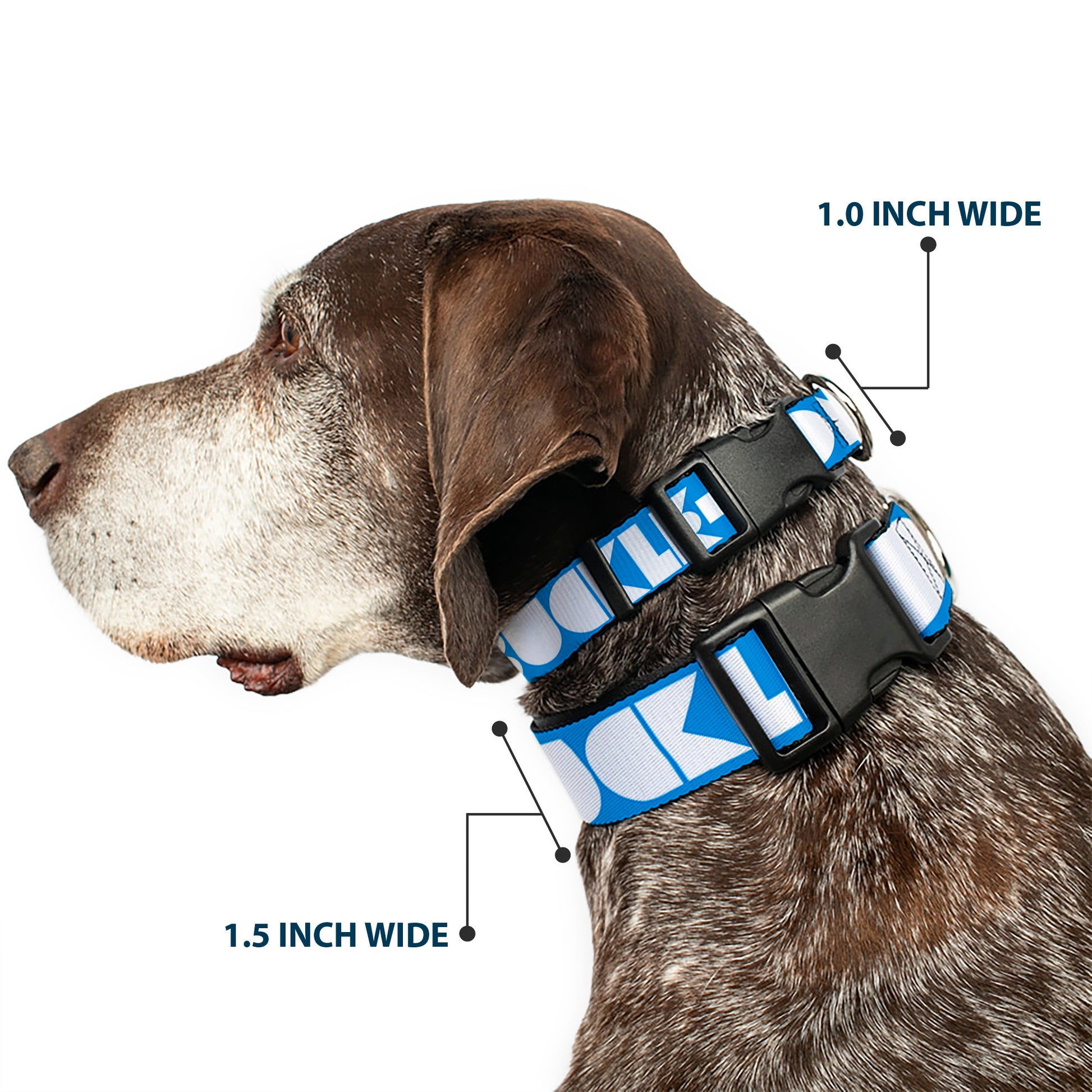 Plastic Clip Collar - BUCKLE-DOWN Shapes Turquoise/White Plastic Clip Collars Buckle-Down