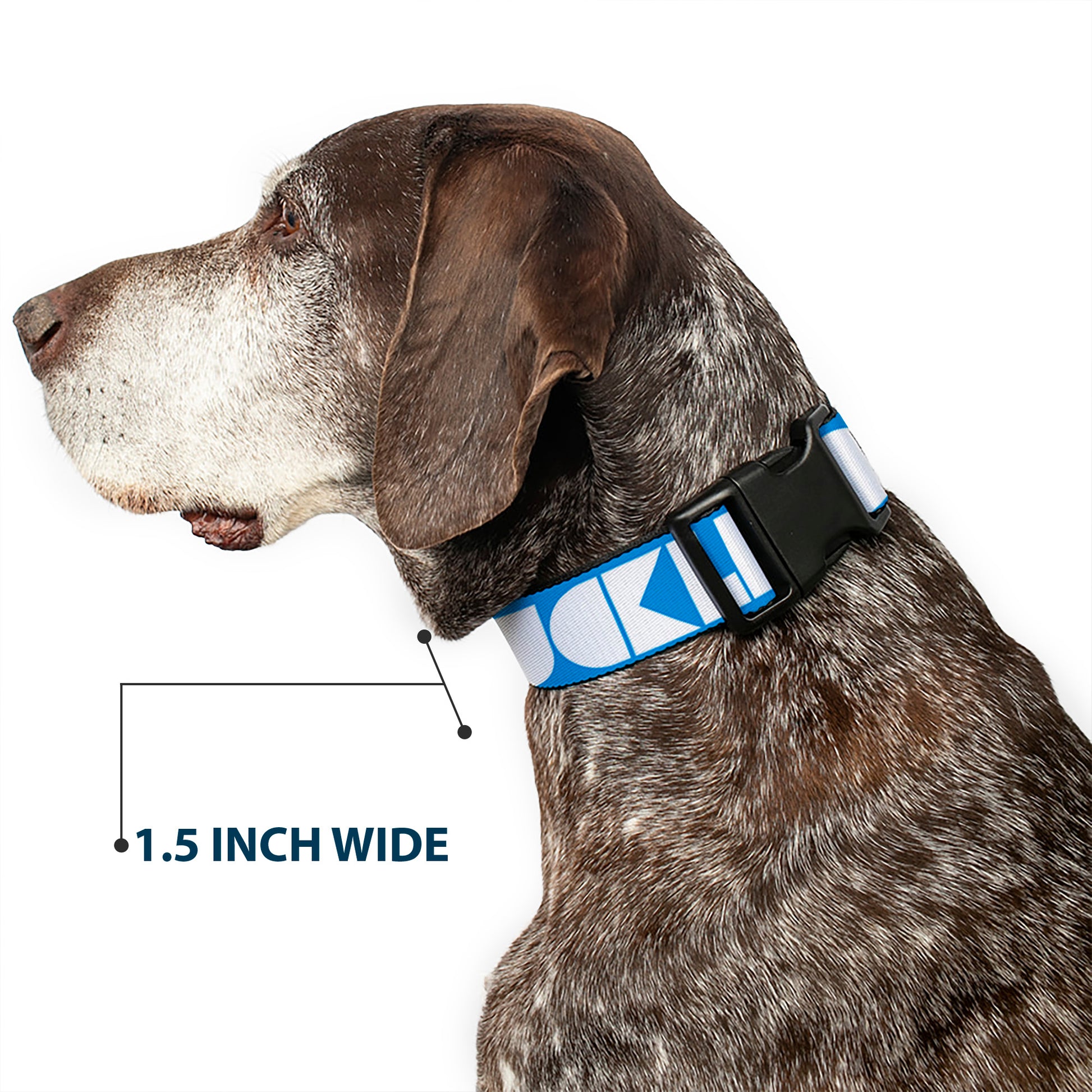 Plastic Clip Collar - BUCKLE-DOWN Shapes Turquoise/White Plastic Clip Collars Buckle-Down