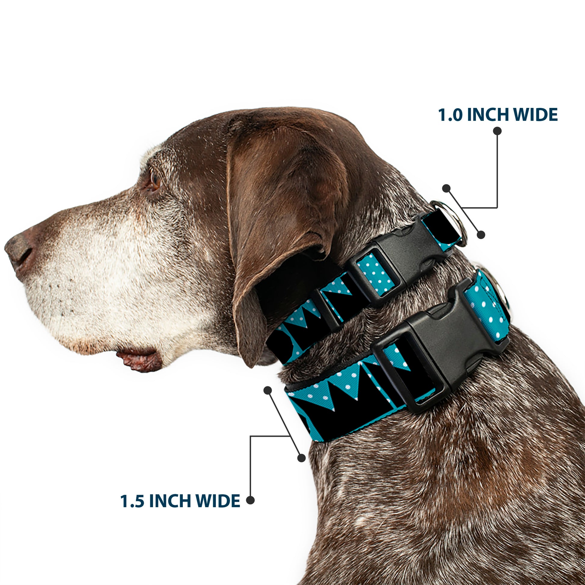 Plastic Clip Collar - BUCKLE-DOWN Shapes Dot Turquoise/White/Black Plastic Clip Collars Buckle-Down