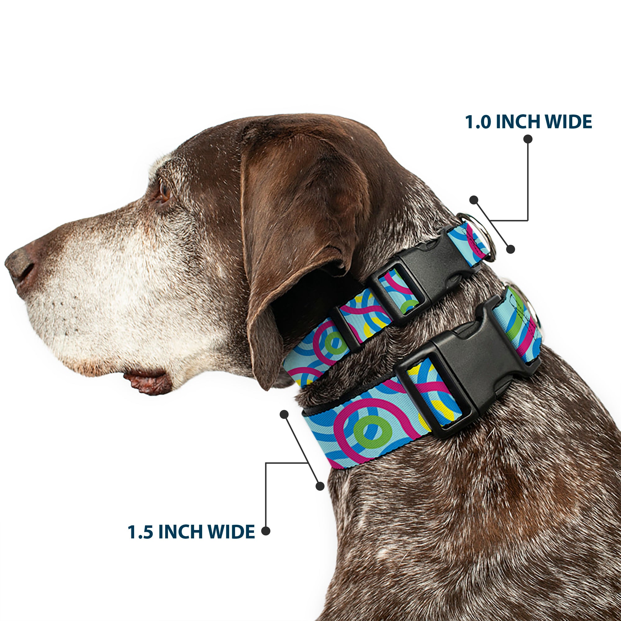 Plastic Clip Collar - Bullseye Stacked Swirl Blues/Green/Yellow/Pink Plastic Clip Collars Buckle-Down