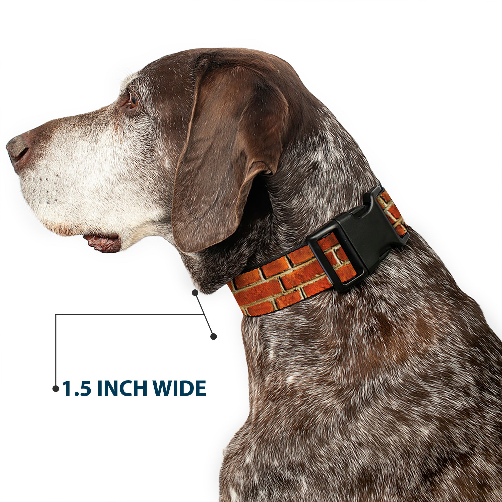 Plastic Clip Collar - Brick Wall Plastic Clip Collars Buckle-Down