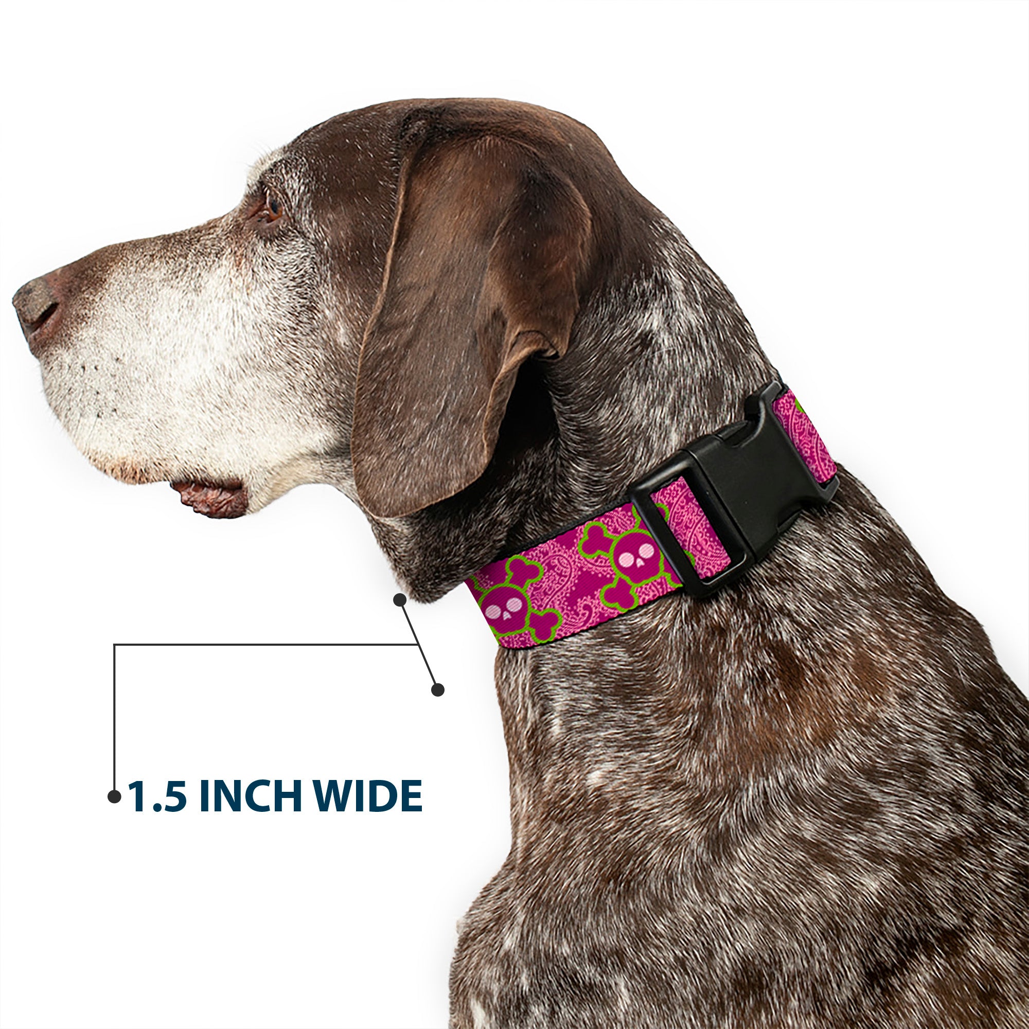 Plastic Clip Collar - Cute Skulls w/Paisley Purple/Pink/Green Plastic Clip Collars Buckle-Down