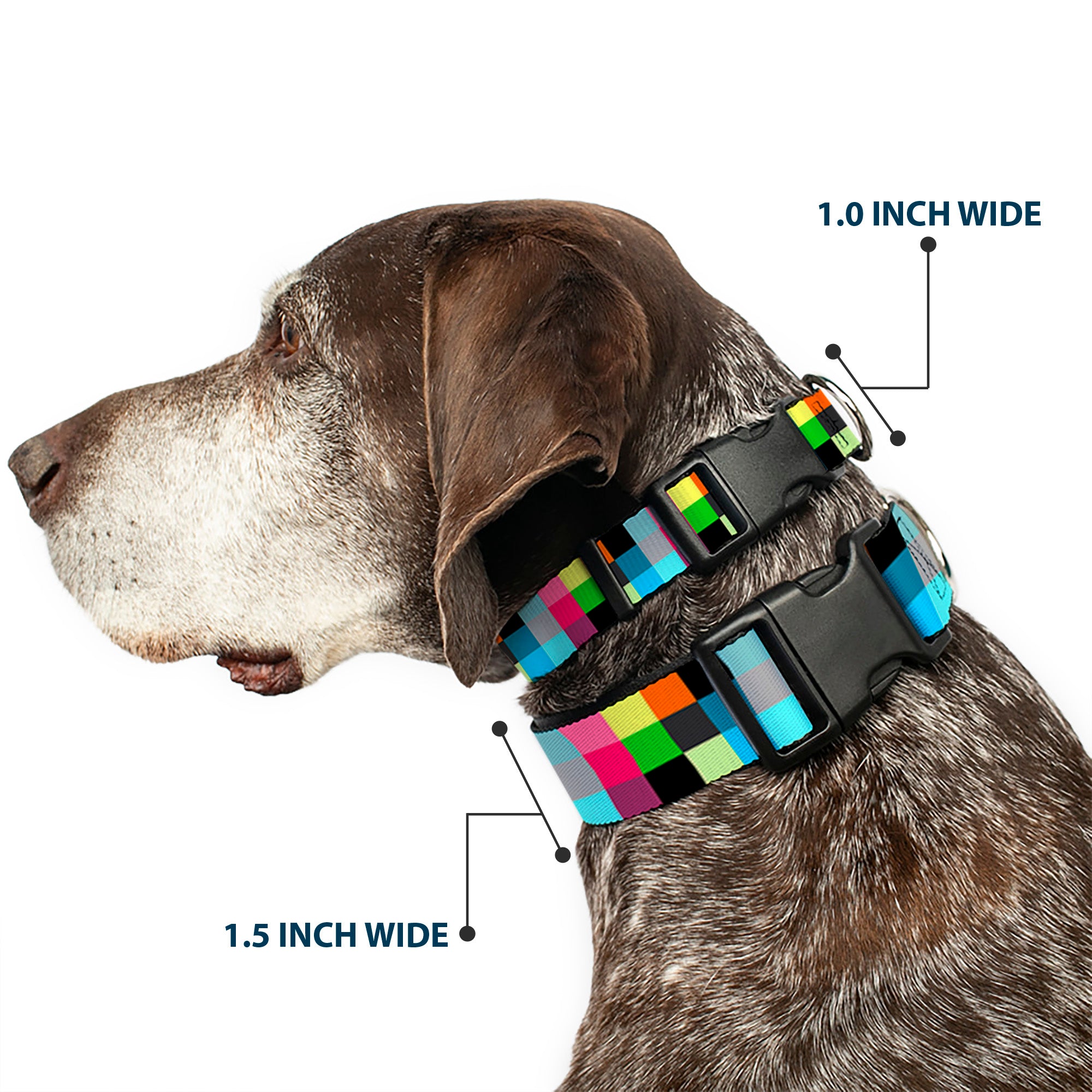 Plastic Clip Collar - Checker Bright Pastel Plastic Clip Collars Buckle-Down