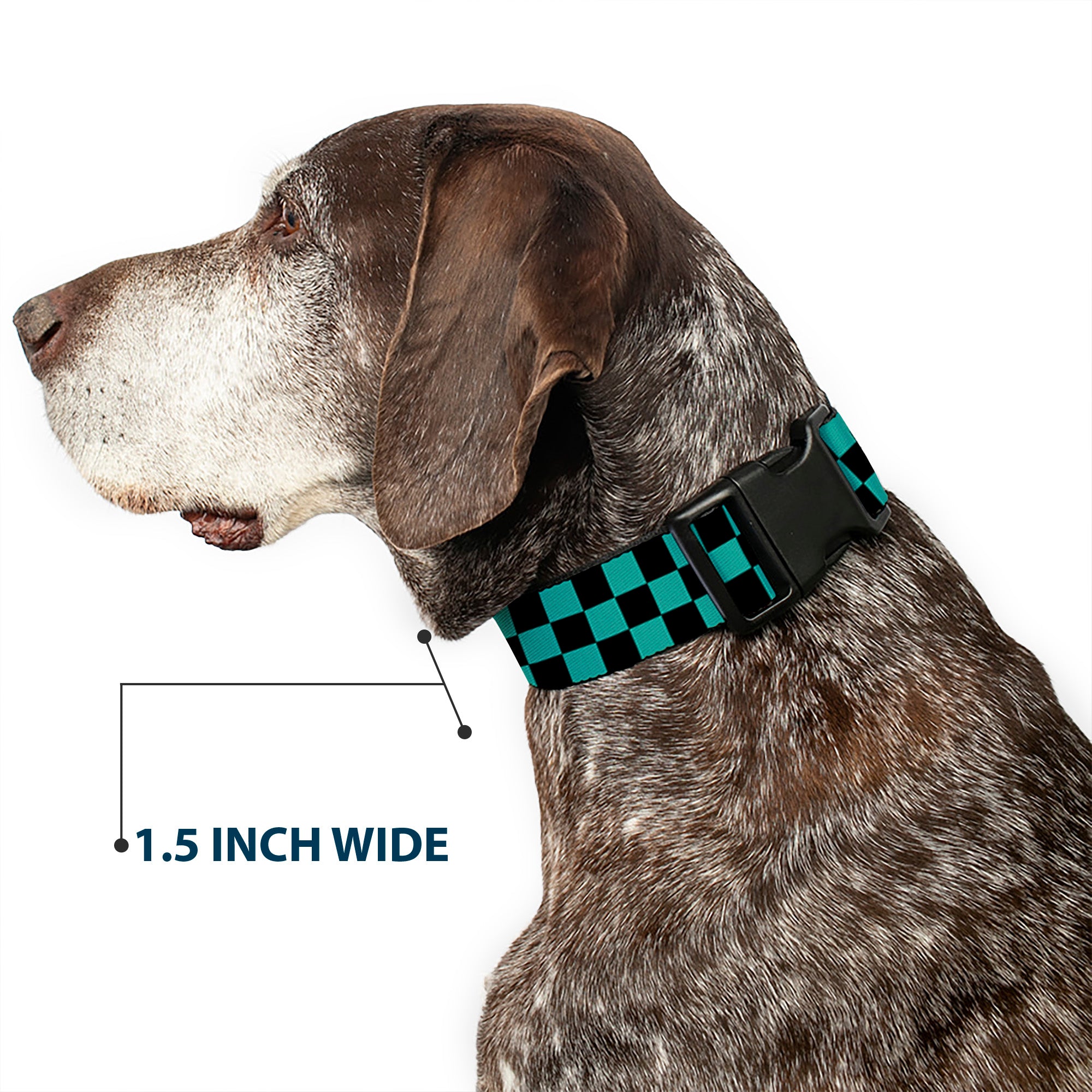 Plastic Clip Collar - Checker Black/Teal Plastic Clip Collars Buckle-Down