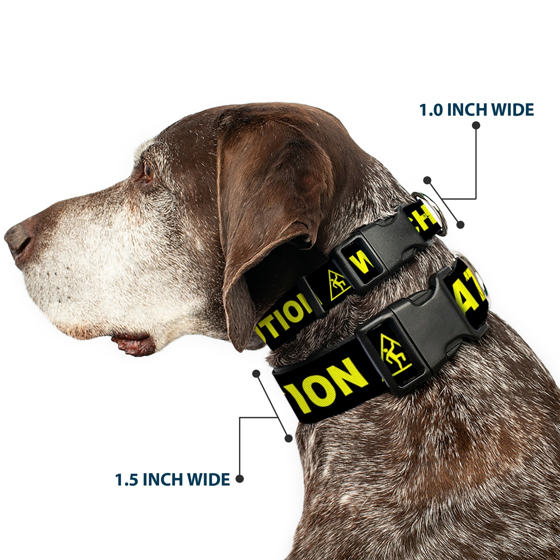 Plastic Clip Collar - CAUTION WATCH YOUR DUBSTEP Black/Yellow Plastic Clip Collars Buckle-Down