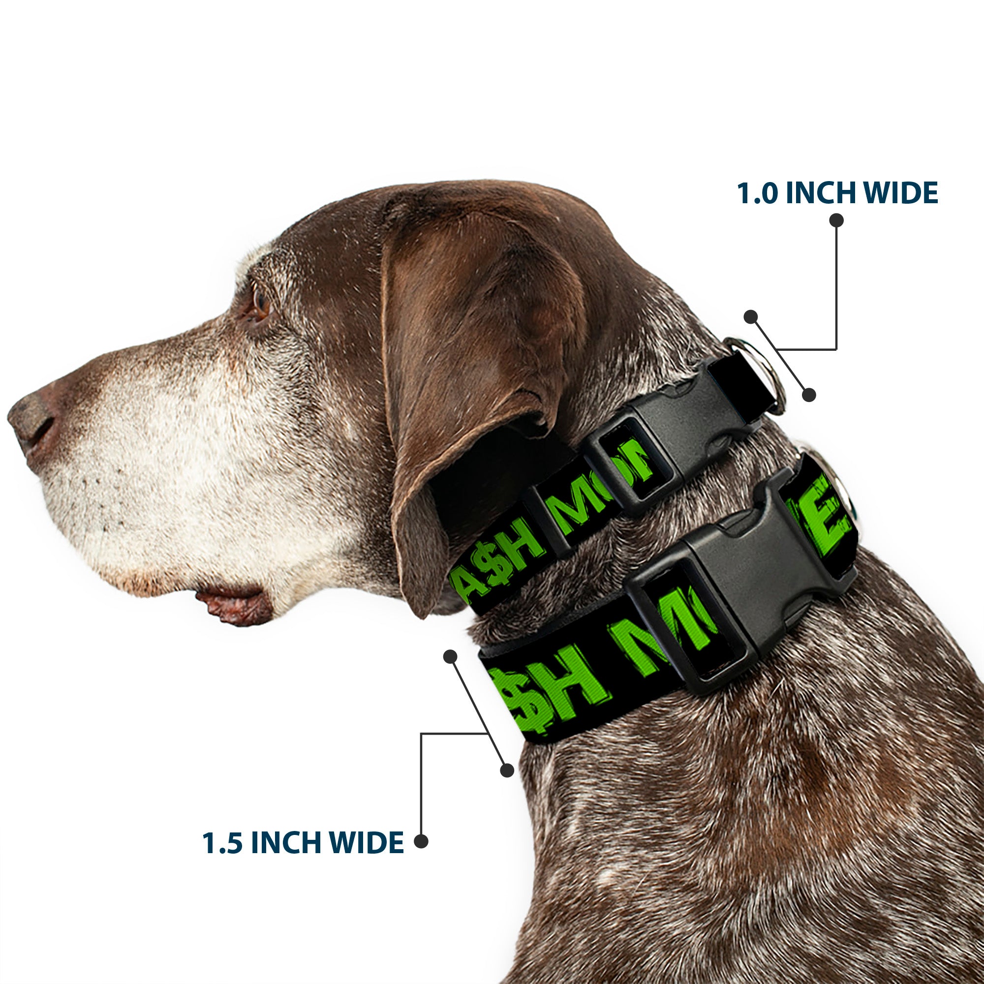 Plastic Clip Collar - CA$H MONEY Black/Green Plastic Clip Collars Buckle-Down