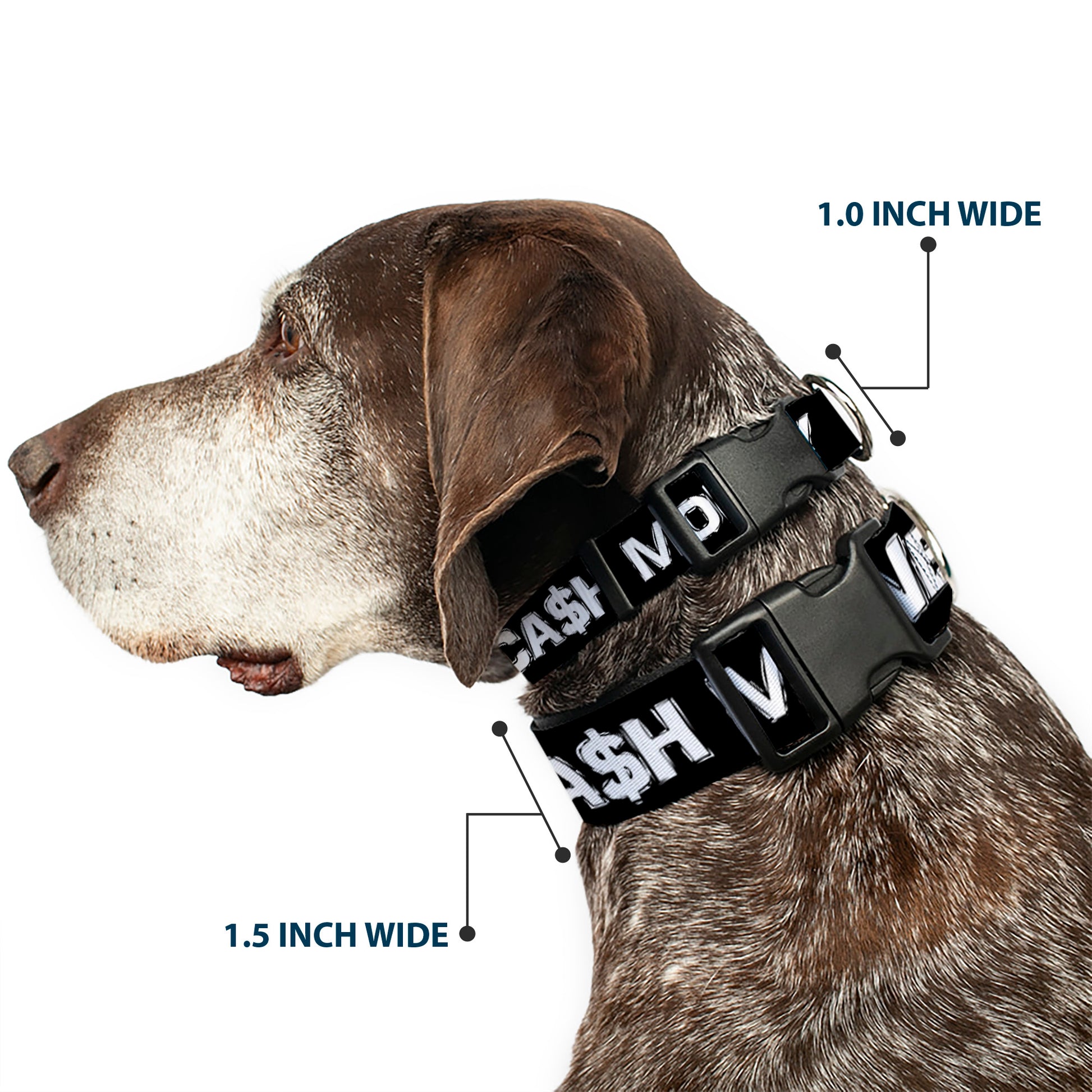 Plastic Clip Collar - CA$H MONEY Black/White Plastic Clip Collars Buckle-Down