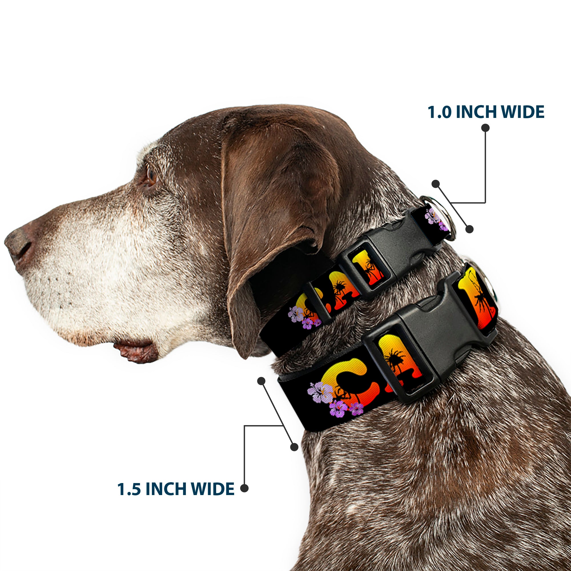 Plastic Clip Collar - CALI Tropical Black/Multi Color Plastic Clip Collars Buckle-Down