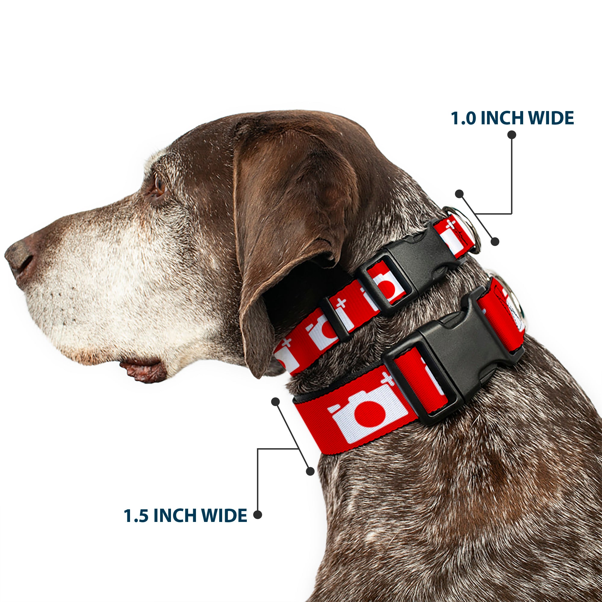 Plastic Clip Collar - Camera Red/White Plastic Clip Collars Buckle-Down