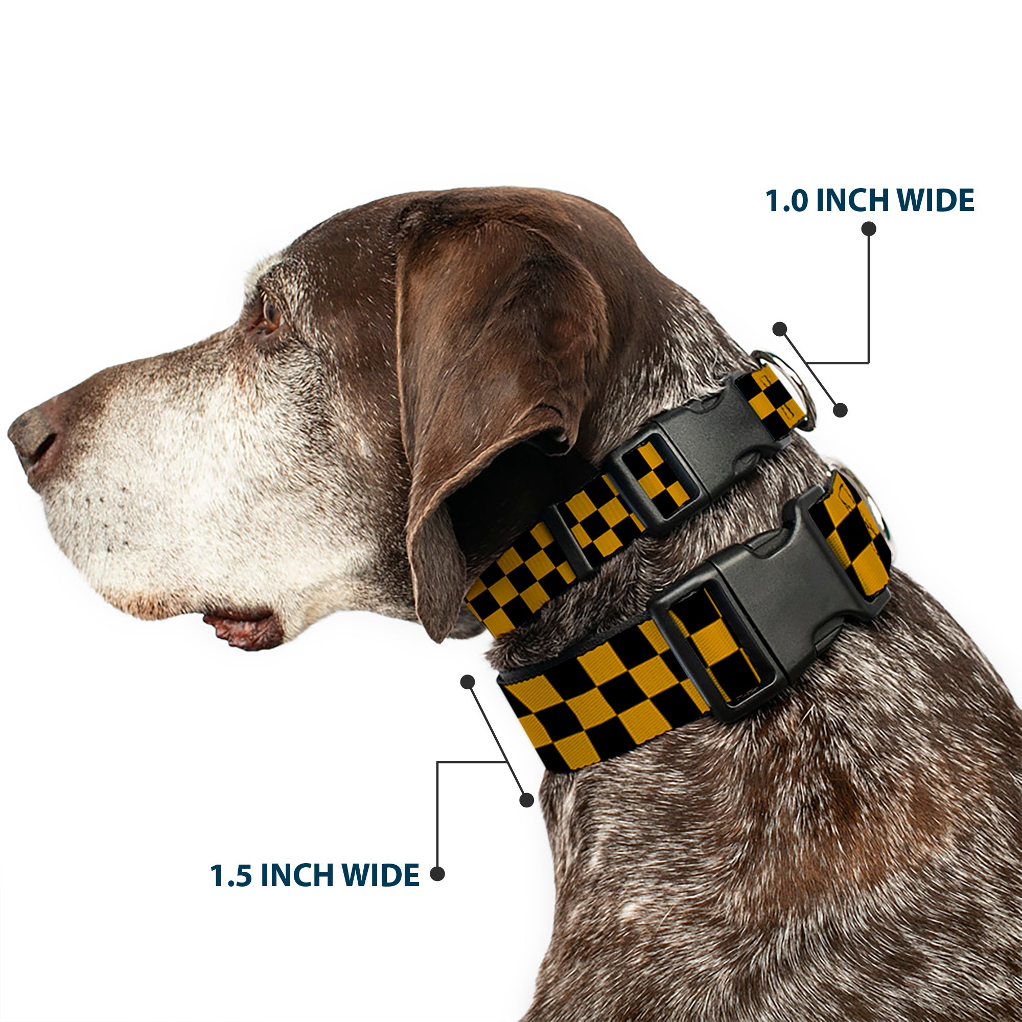 Plastic Clip Collar - Checker Black/Gold Plastic Clip Collars Buckle-Down