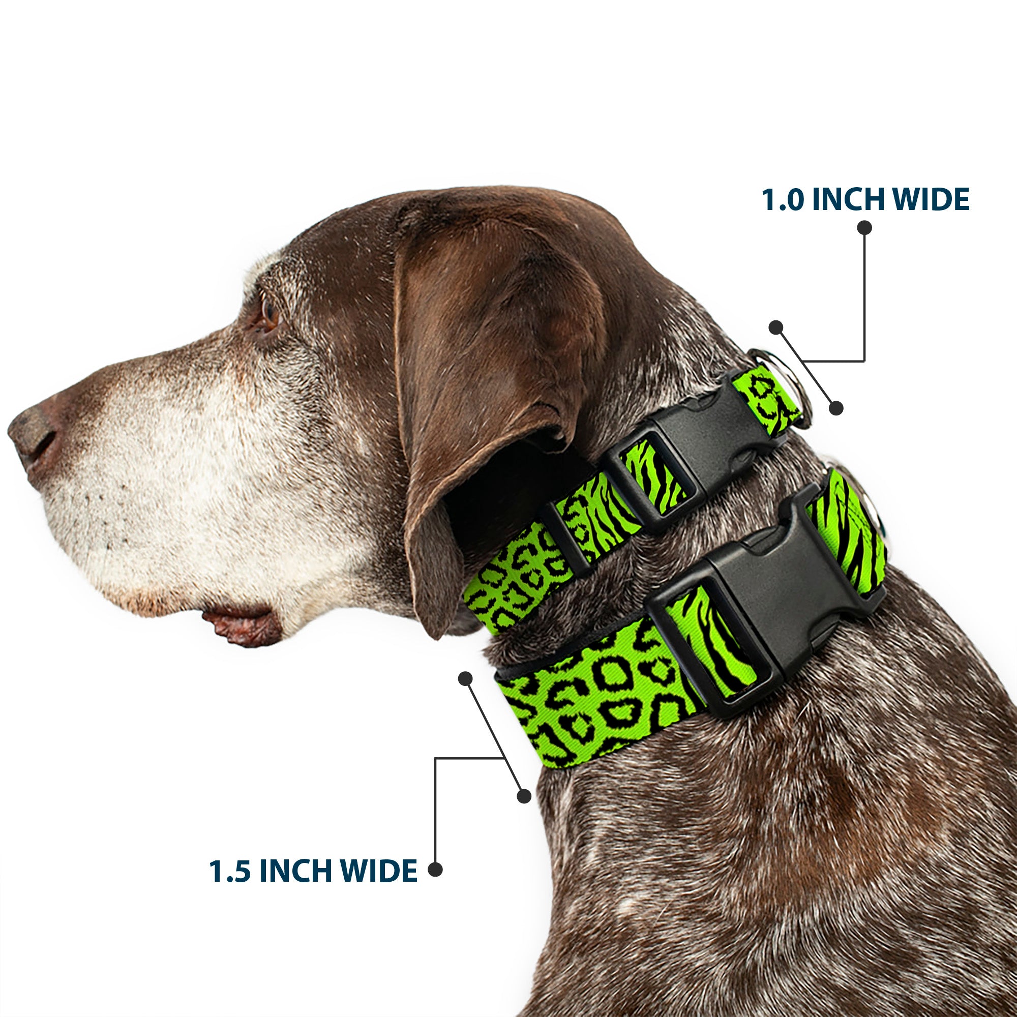 Plastic Clip Collar - Cheebra Green/Black Plastic Clip Collars Buckle-Down