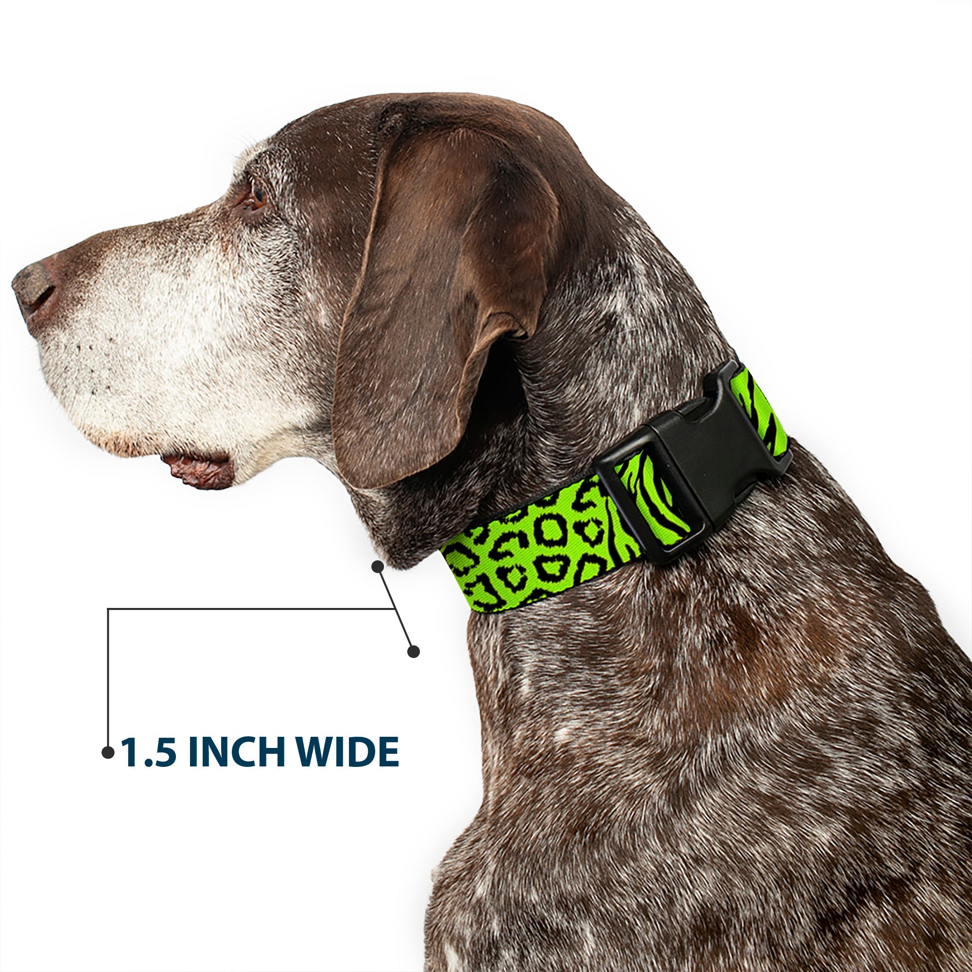 Plastic Clip Collar - Cheebra Green/Black Plastic Clip Collars Buckle-Down