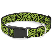 Plastic Clip Collar - Cheebra Green/Black Plastic Clip Collars Buckle-Down