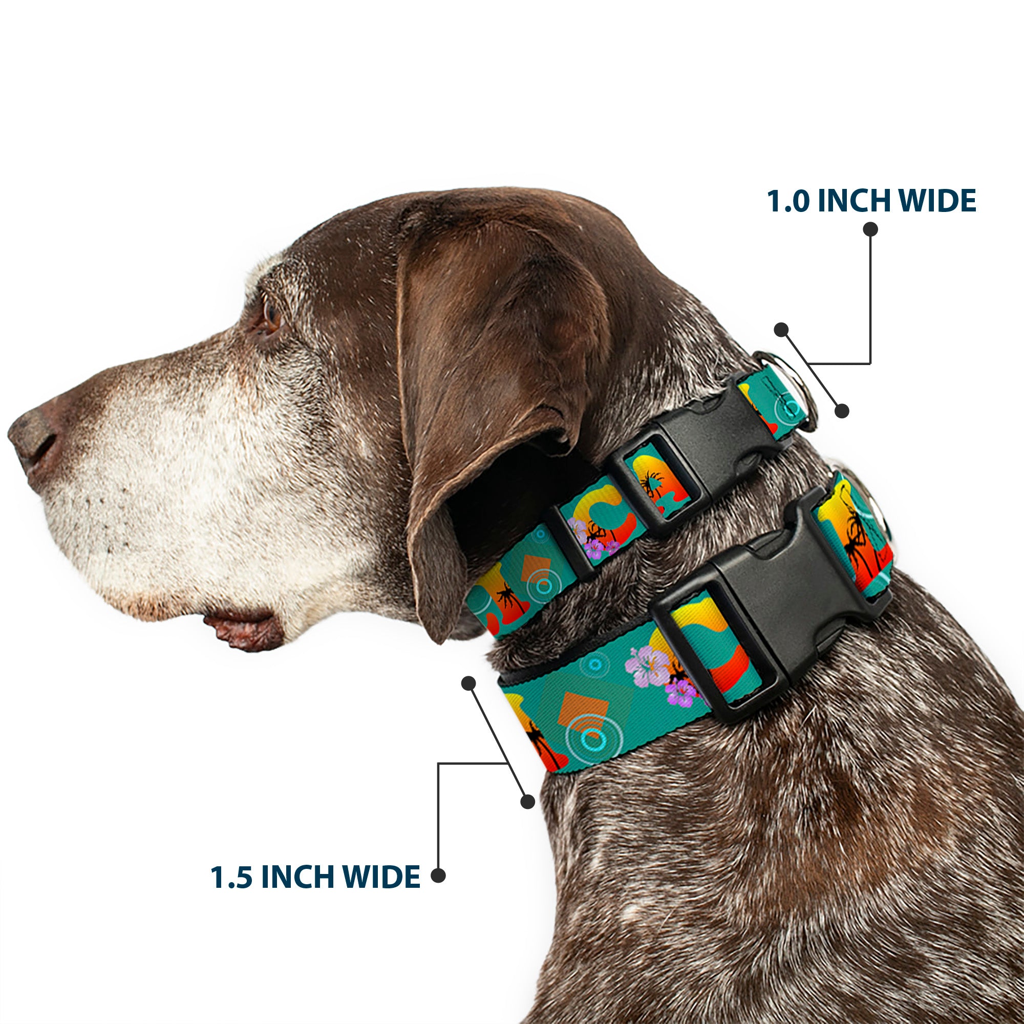 Plastic Clip Collar - CALI Tropical Aqua/Multi Color Plastic Clip Collars Buckle-Down
