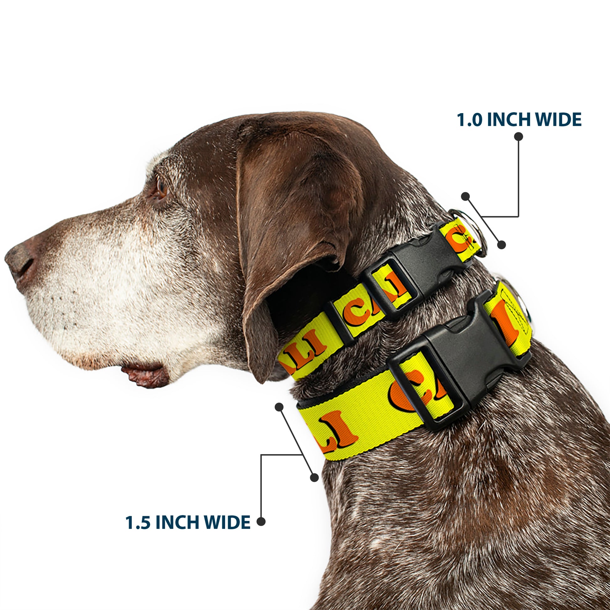 Plastic Clip Collar - CALI Yellow/Orange Plastic Clip Collars Buckle-Down