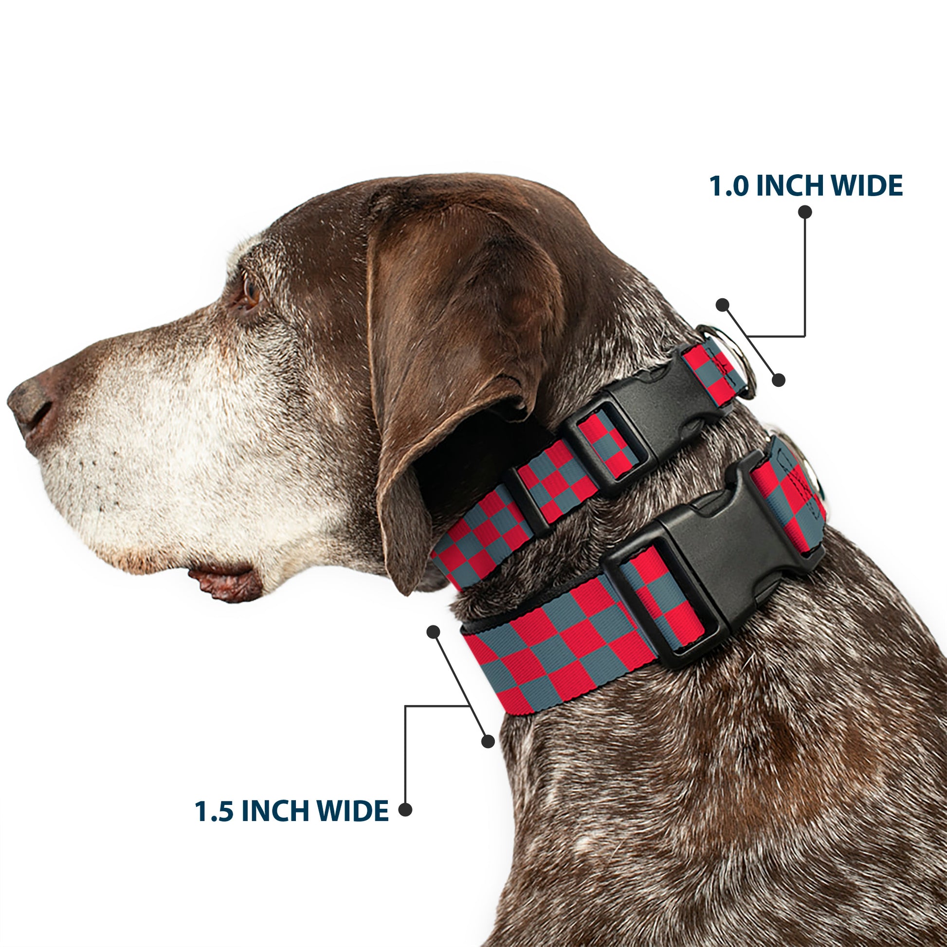Plastic Clip Collar - Checker Crimson Red/Gray Plastic Clip Collars Buckle-Down